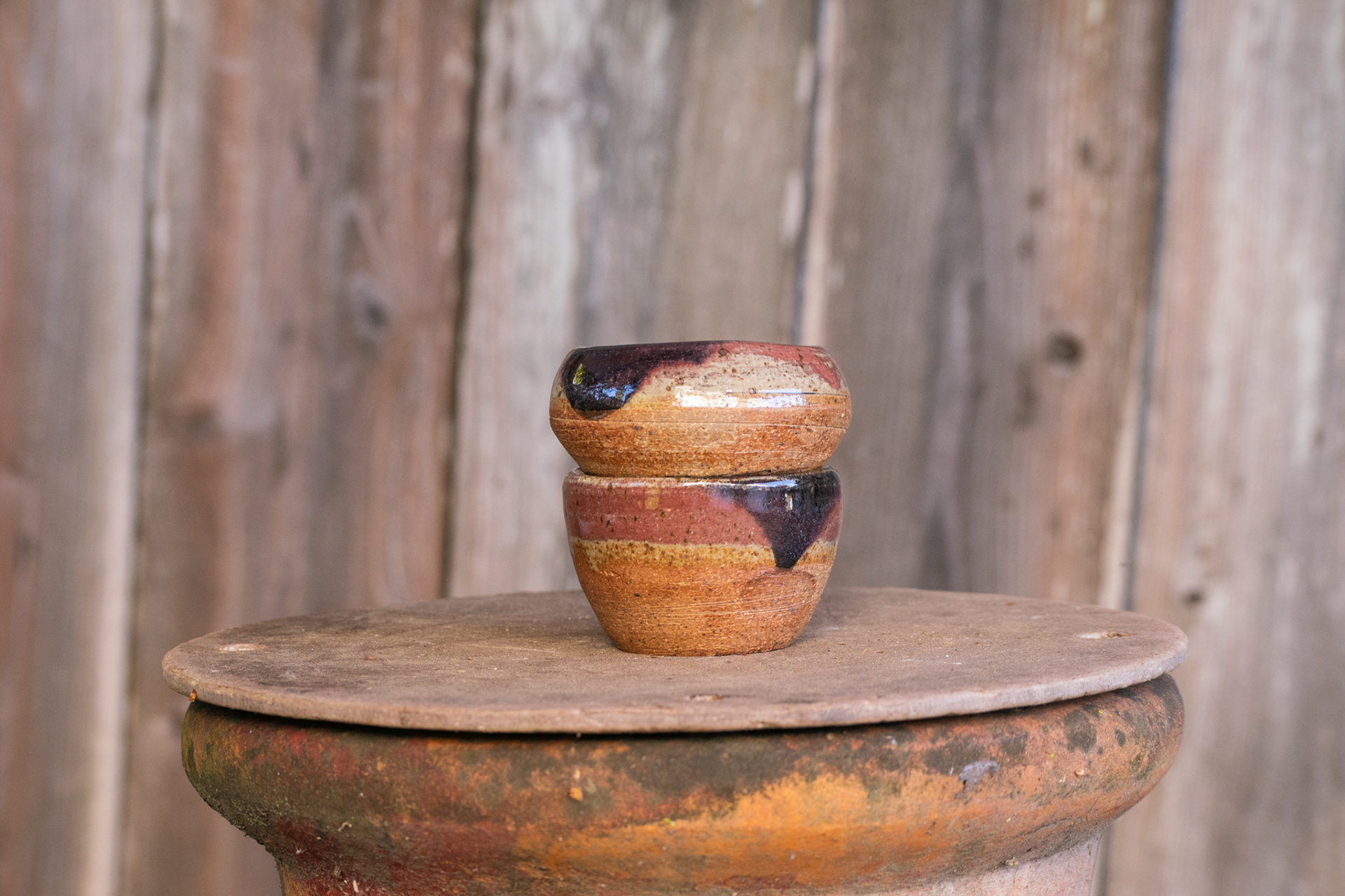 Multi-Colored Double Walled Cups 1