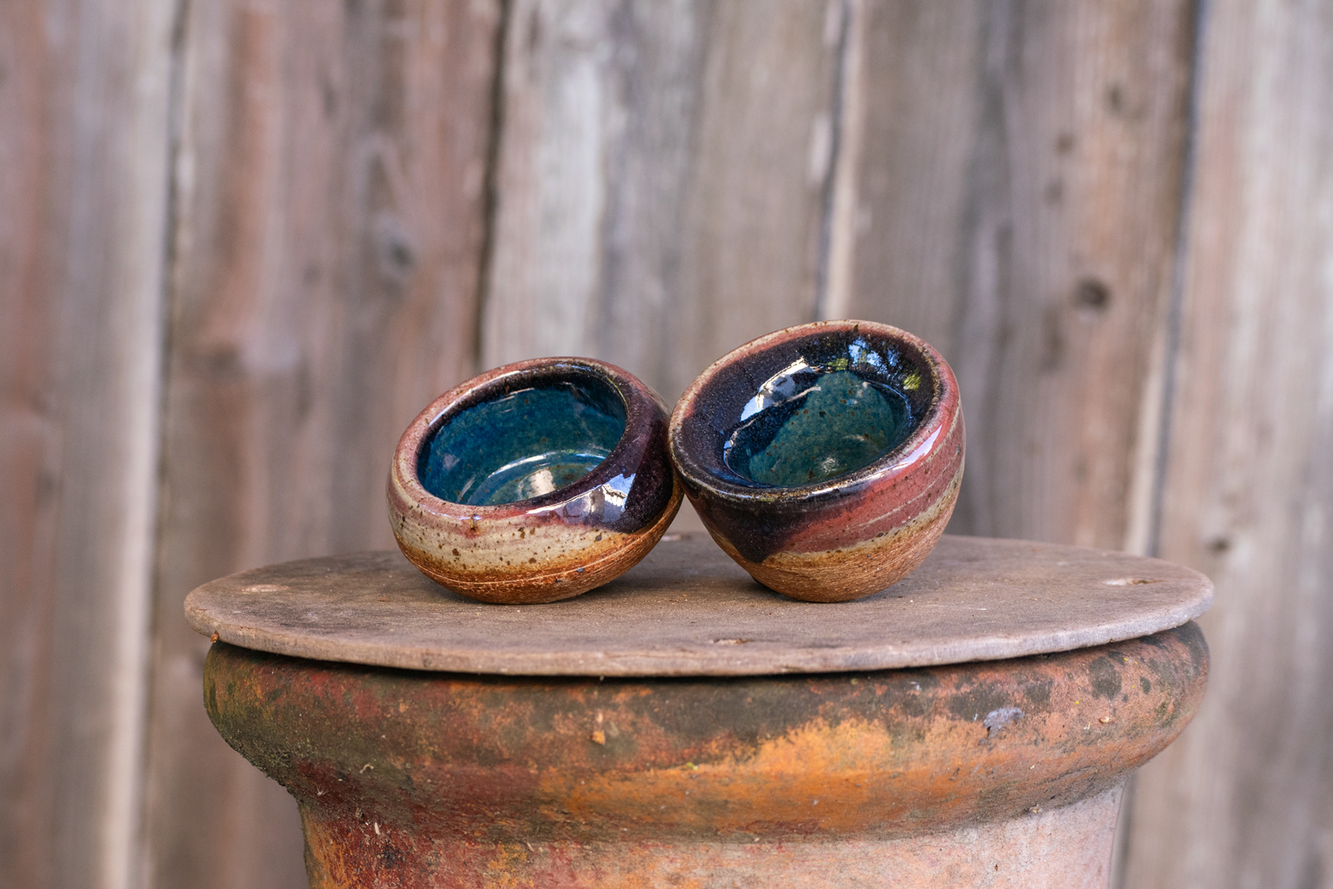 Multi-Colored Double Walled Cups 3