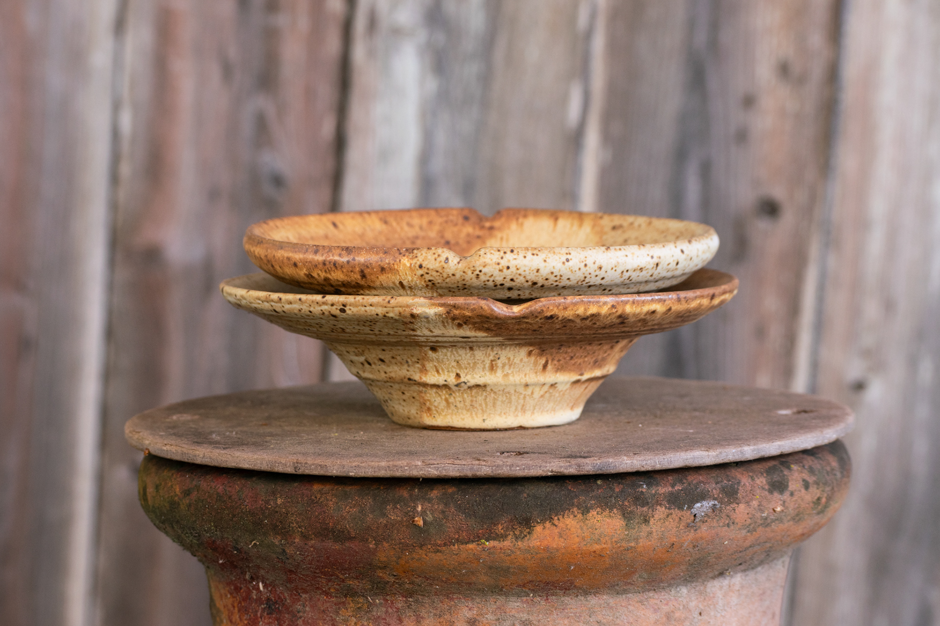 Yellow Bowls W/ Stripe 1