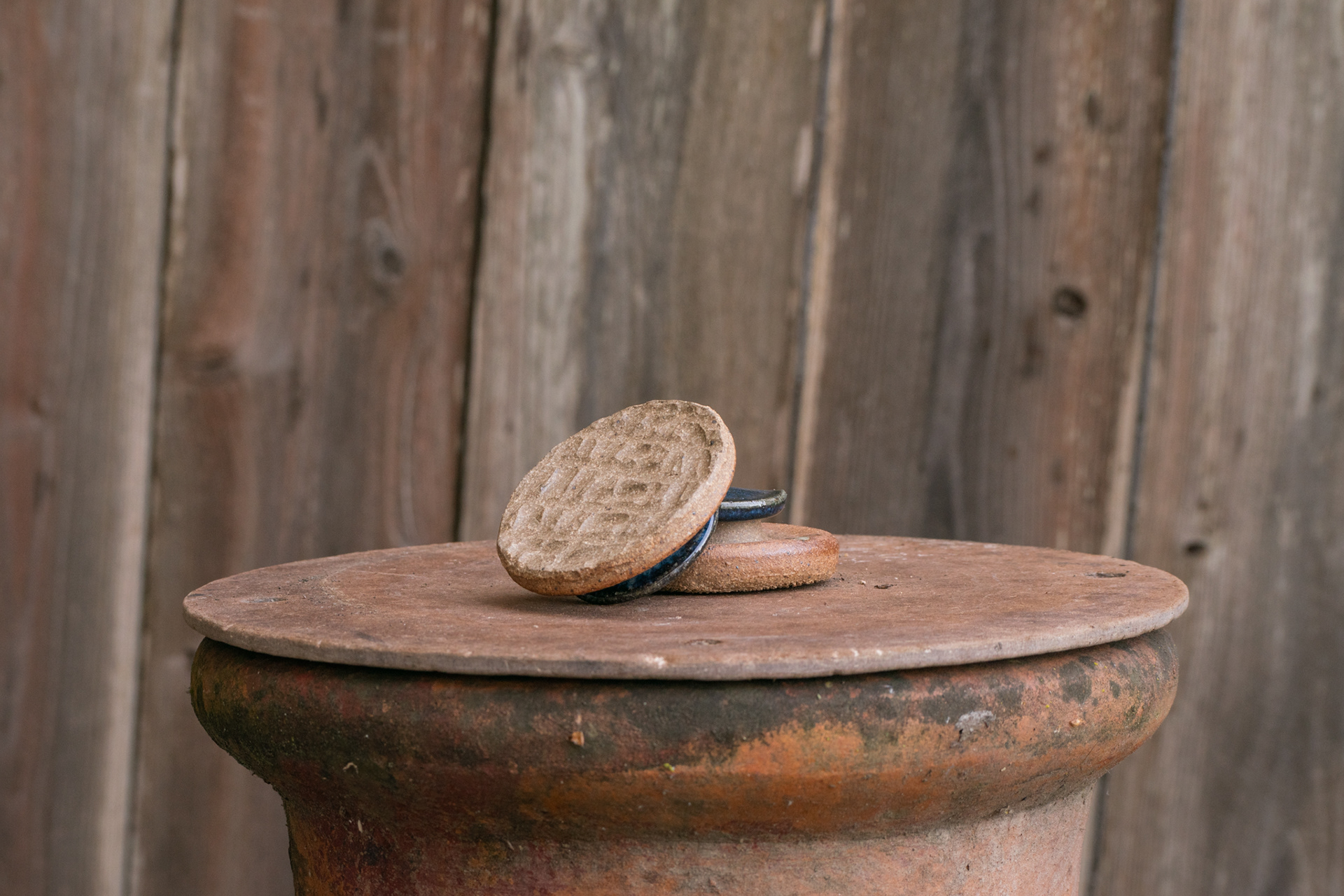 Skin Scrubbers W/ Sapphire Handle 2