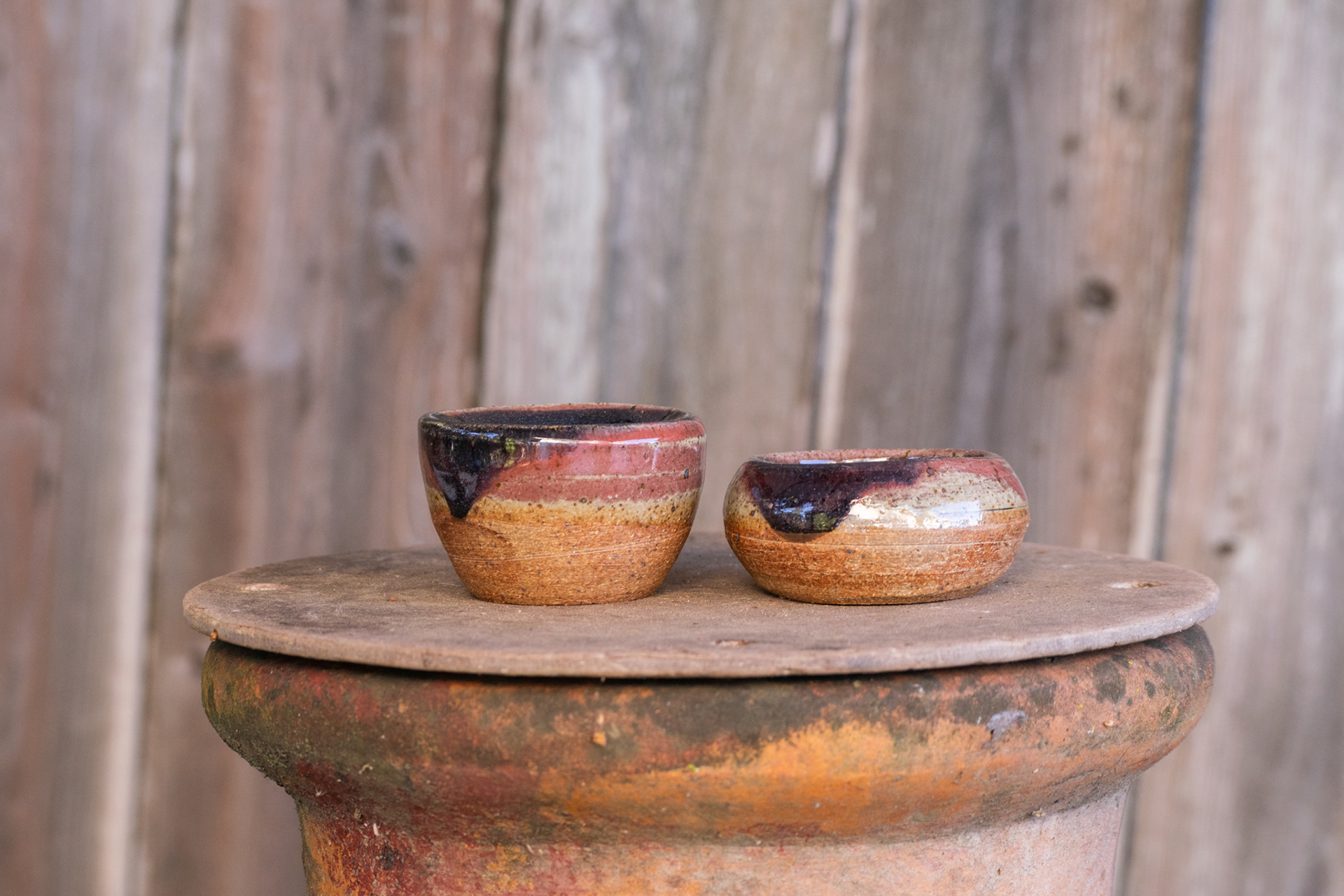 Multi-Colored Double Walled Cups 2