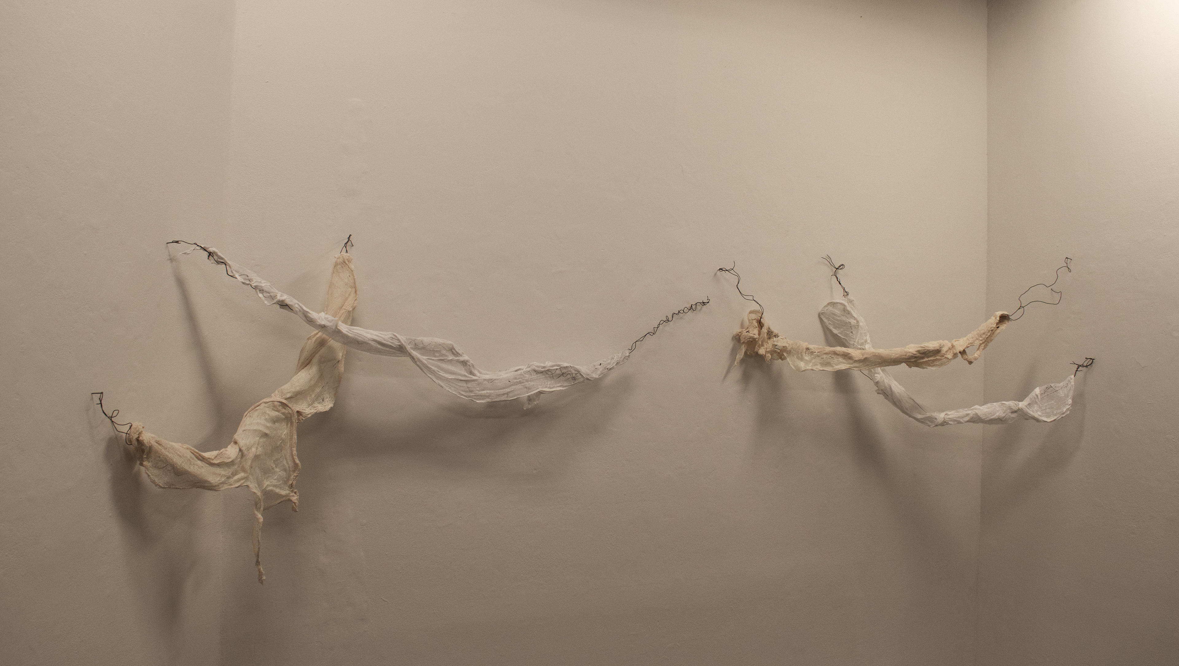 "Husk;" wire, starched cheesecloth; 2024
