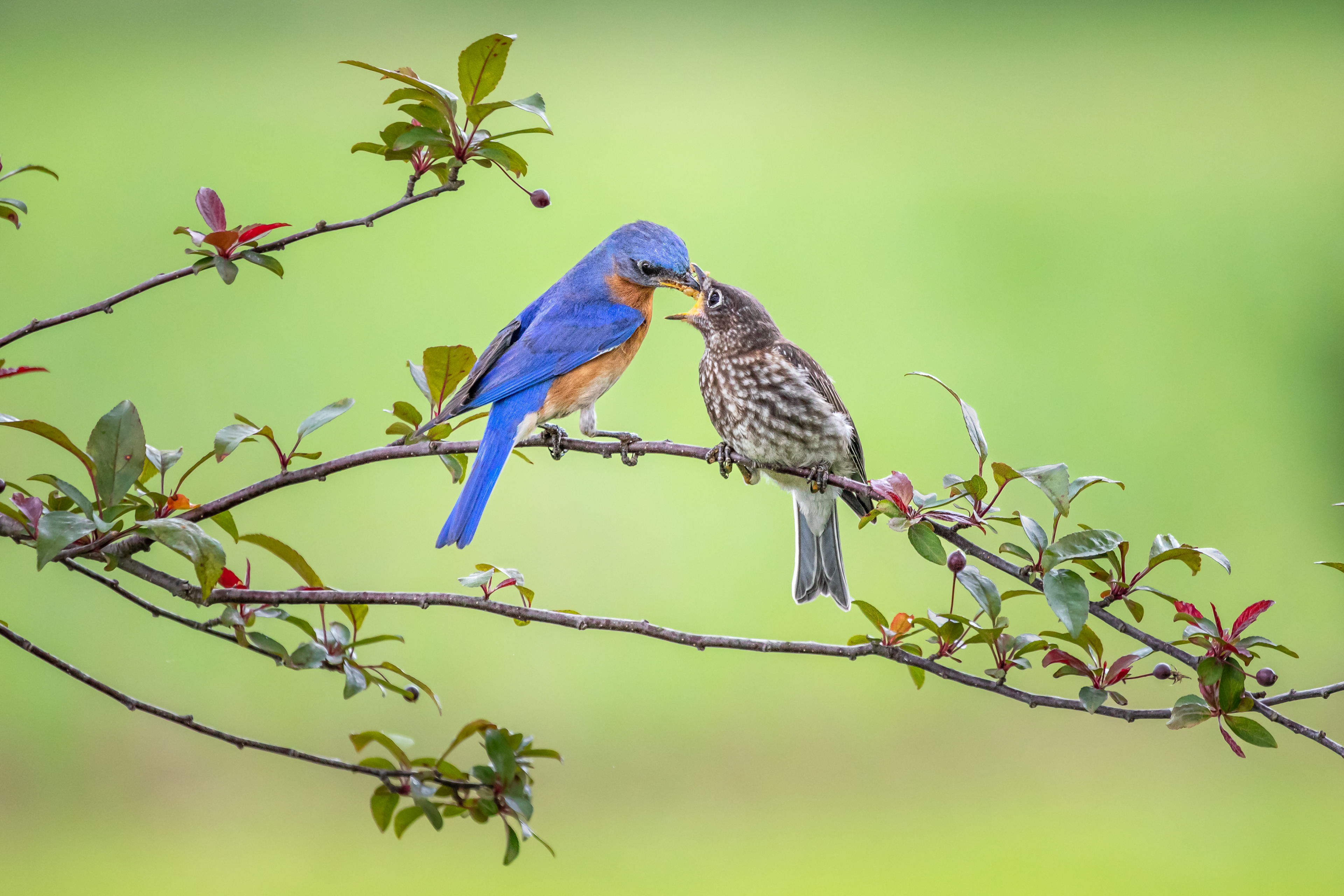 Lunchtime with Baby Blue