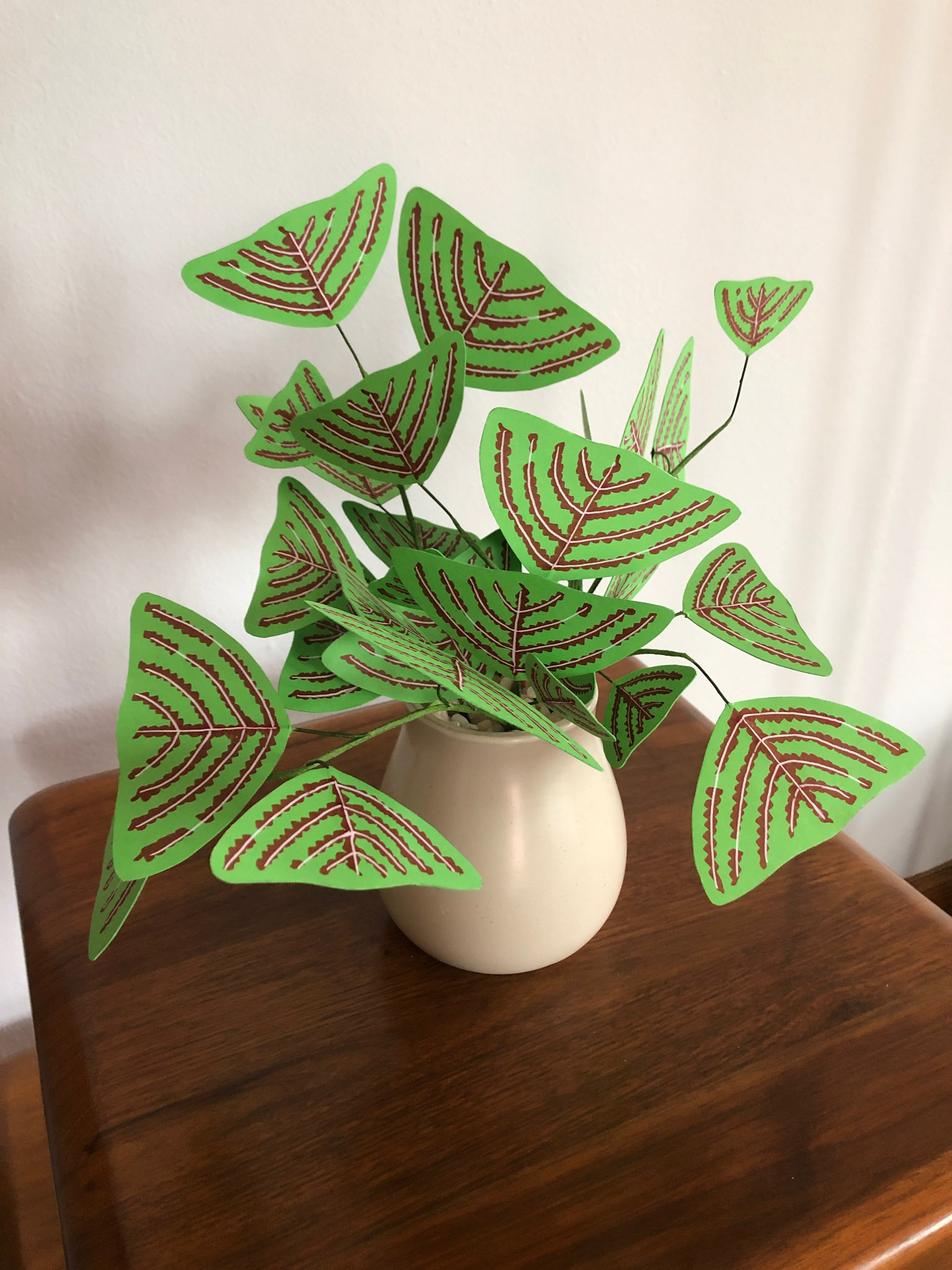 Swallowtail Plant