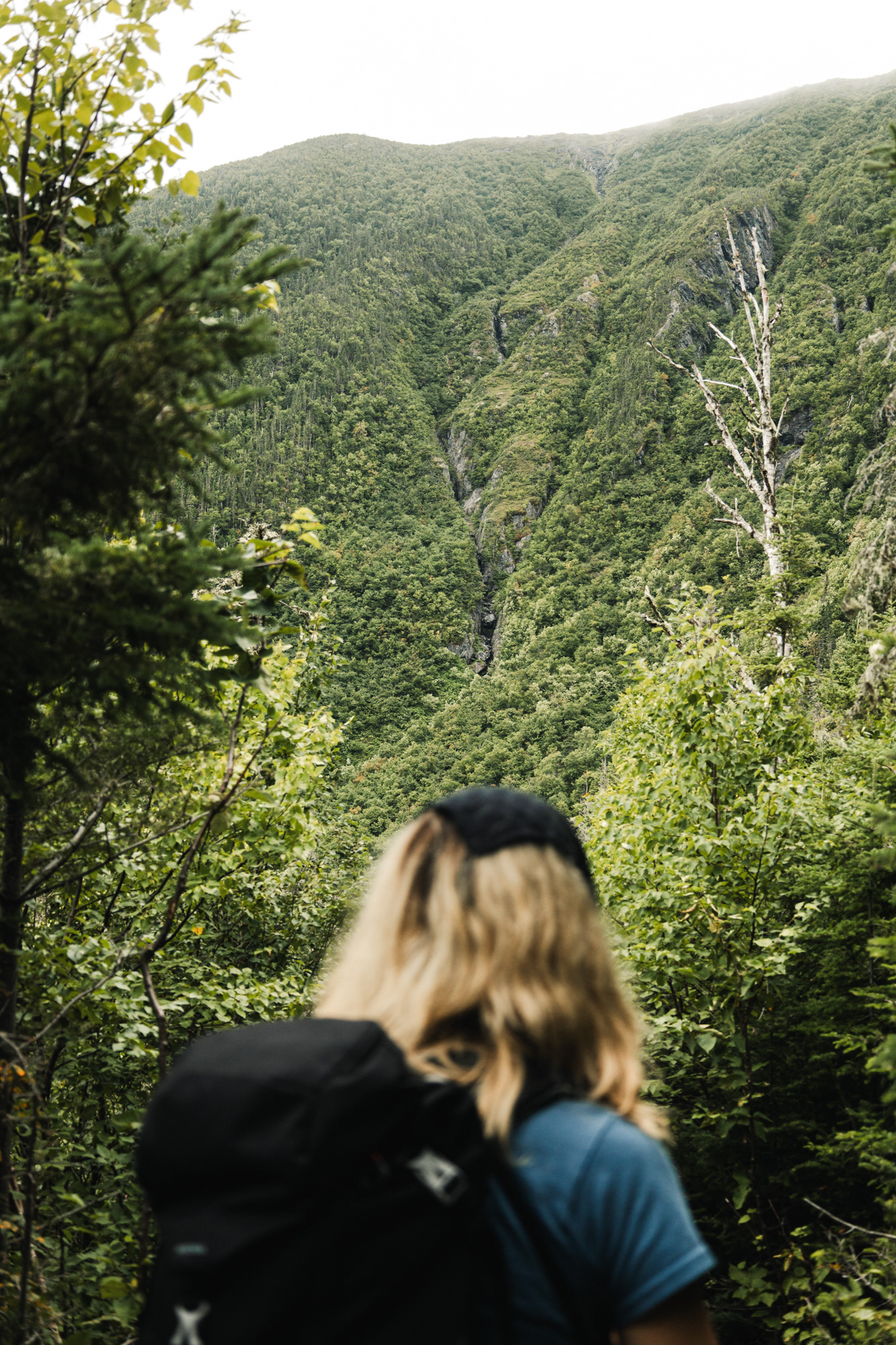 Mont Albert, Parc National de la Gaspésie 