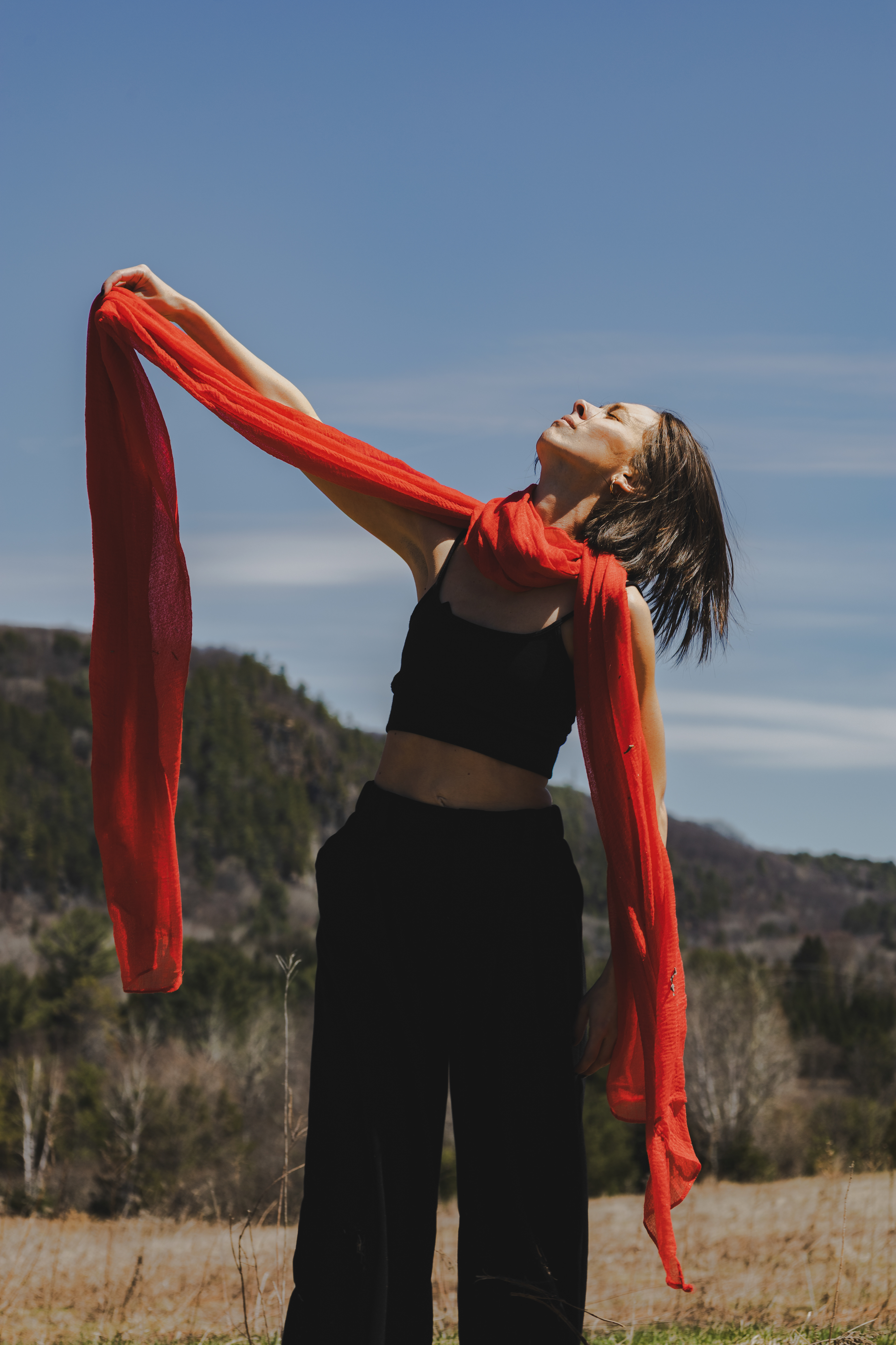  Entité seconde Ce projet exprime la passion rouge vif qui englobe le laisser aller, la plus grande liberté, celle de ce second soi bercé par le vent, qui fera vivre cette entité en nous jusqu'à ce que le vent soufflera. Cette entité externe que l'on ne contrôle pas mais qui nous contrôle sans préavis. Notre alter ego, nos émotions externes, la petite voix que l'on refoule chaque fois, le second soit, soit notre meilleur ami ou notre pire ennemi. Le décor choisi pour sa vastitude a offert un espace à la danse, à la dualité, à l'improvisation par Cynthia Beauvais, enseignante de danse à l'école secondaire Augustin Norbert-Morin à Sainte-Adèle que j'ai côtoyée tout au long de mon parcours. 