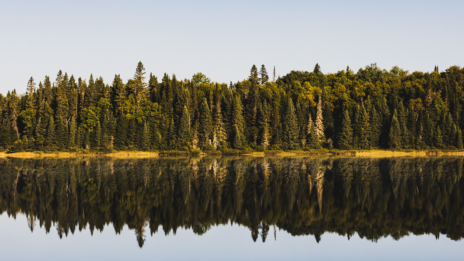 Réserve Faunique Rouge-Matawin 