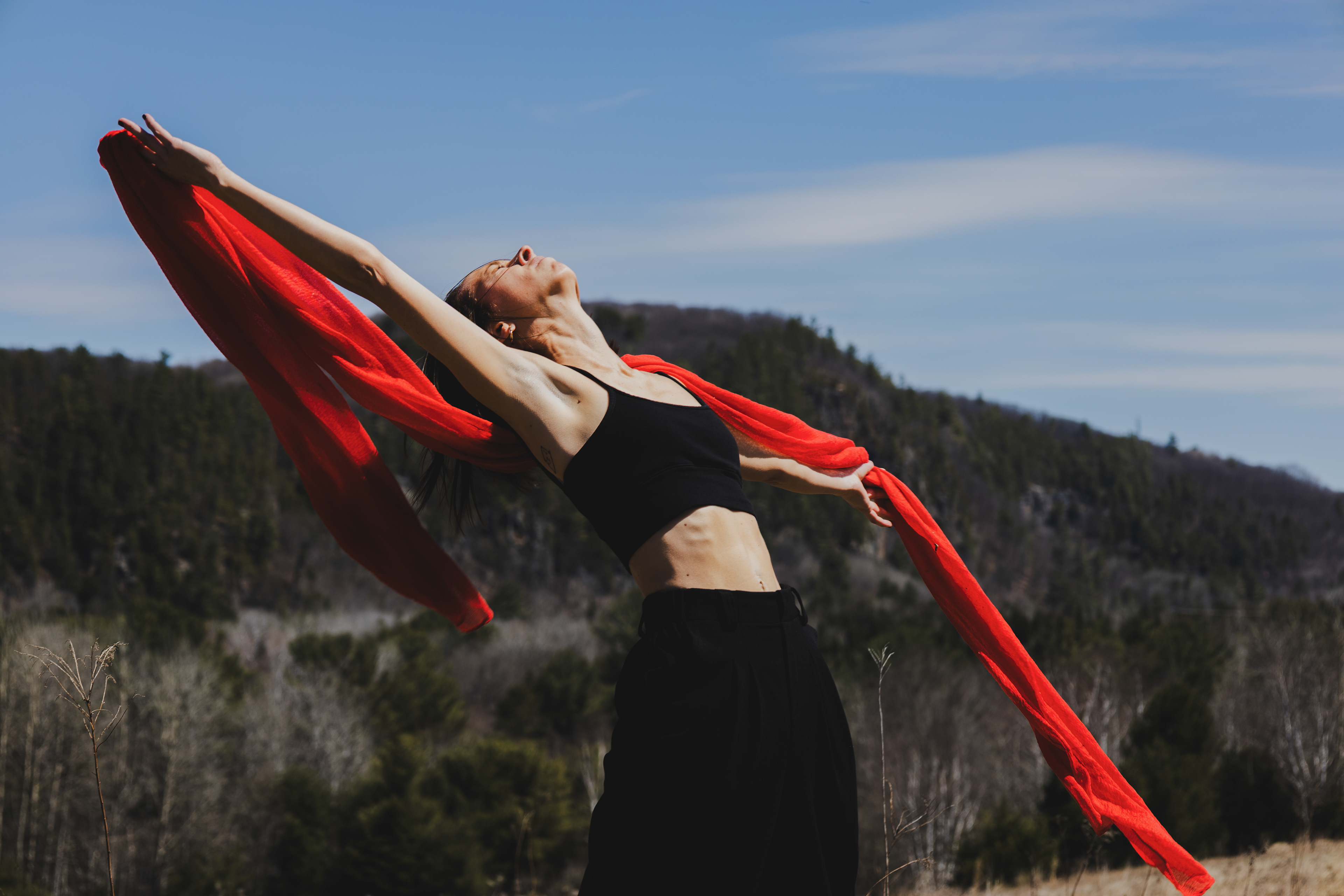  Entité seconde Ce projet exprime la passion rouge vif qui englobe le laisser aller, la plus grande liberté, celle de ce second soi bercé par le vent, qui fera vivre cette entité en nous jusqu'à ce que le vent soufflera. Cette entité externe que l'on ne contrôle pas mais qui nous contrôle sans préavis. Notre alter ego, nos émotions externes, la petite voix que l'on refoule chaque fois, le second soit, soit notre meilleur ami ou notre pire ennemi. Le décor choisi pour sa vastitude a offert un espace à la danse, à la dualité, à l'improvisation par Cynthia Beauvais, enseignante de danse à l'école secondaire Augustin Norbert-Morin à Sainte-Adèle que j'ai côtoyée tout au long de mon parcours. 