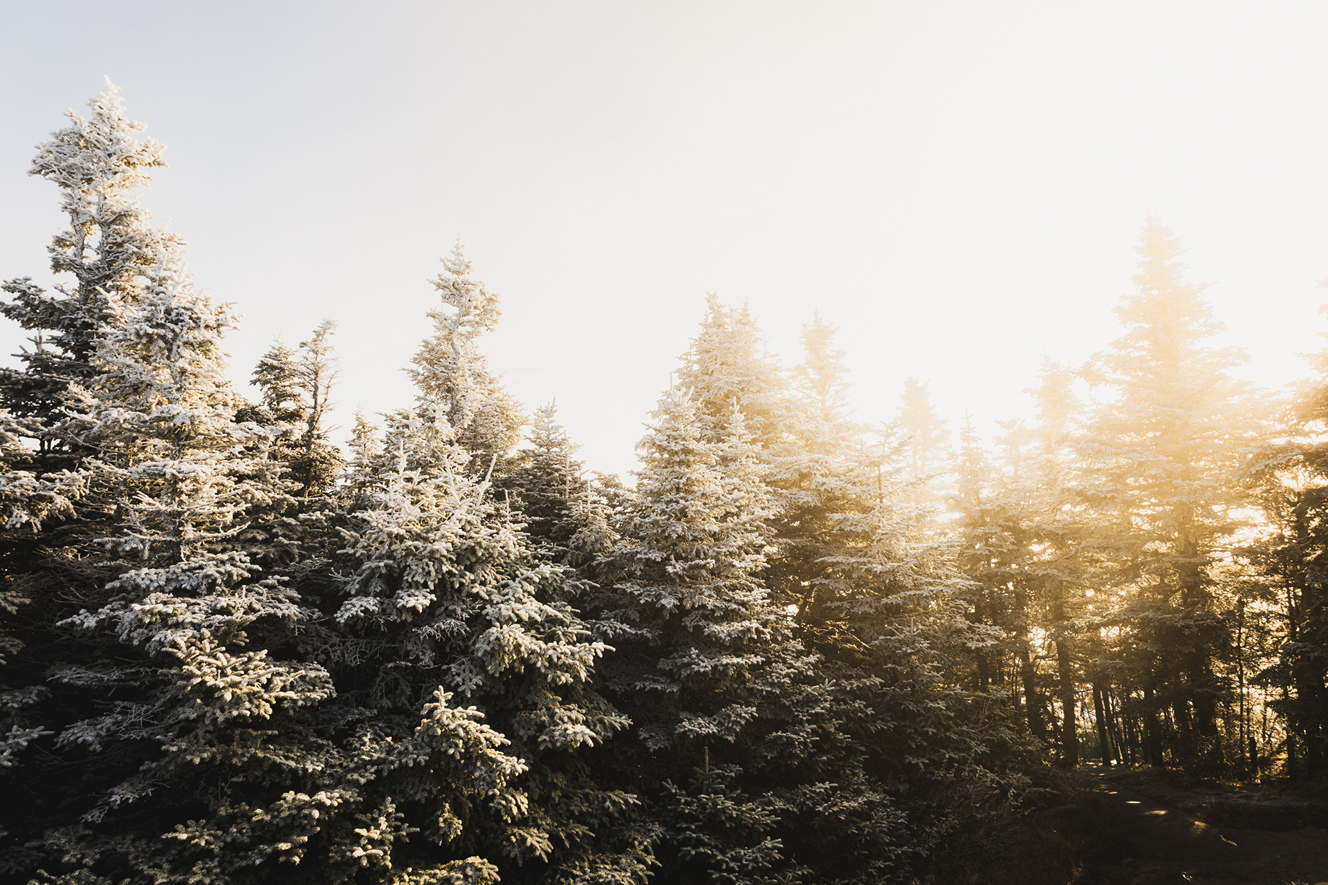 Giant Mountain - USA