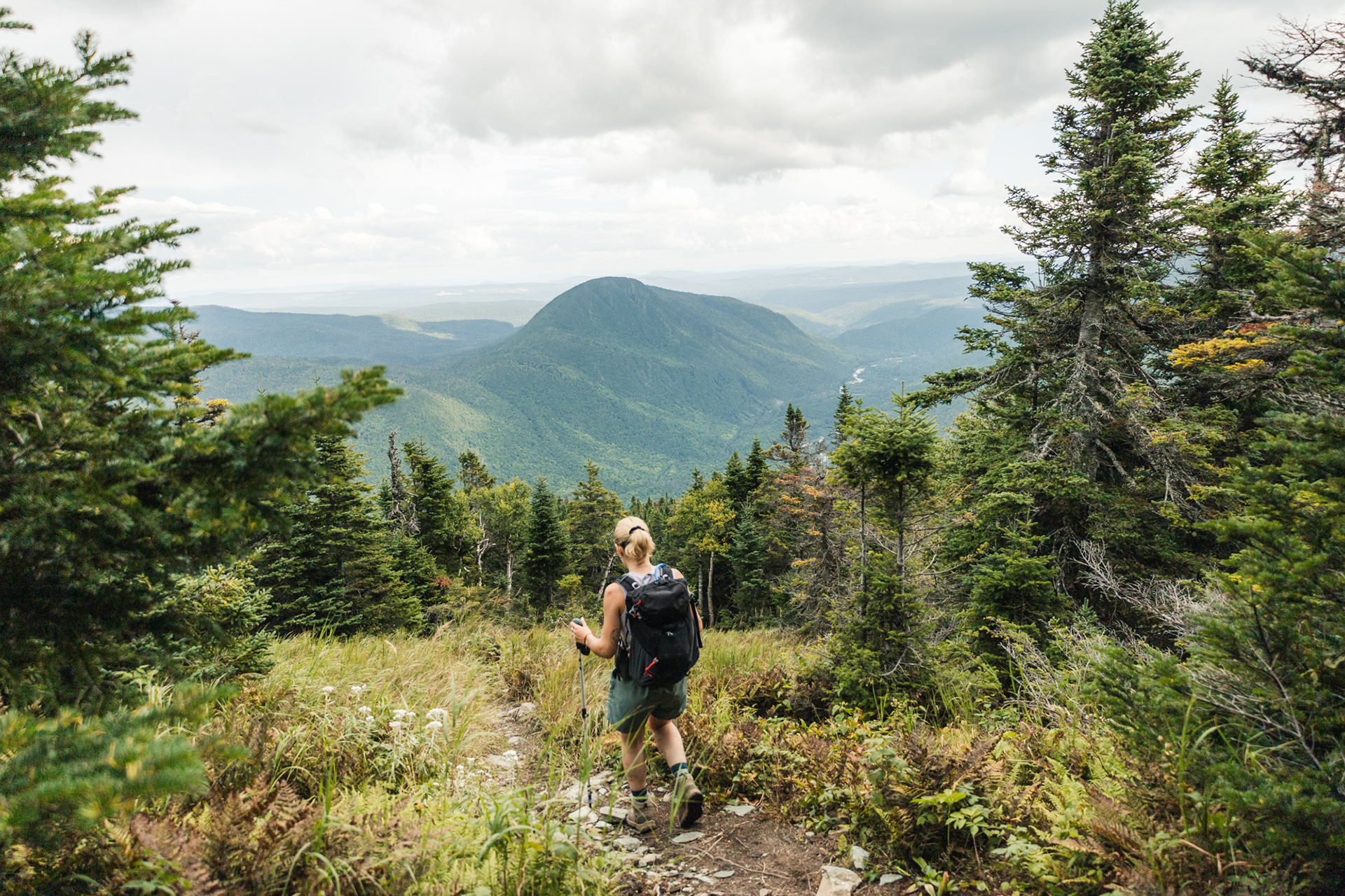 Mont Nicol-Albert, Réserve Faunique de Matane, Gaspésie 