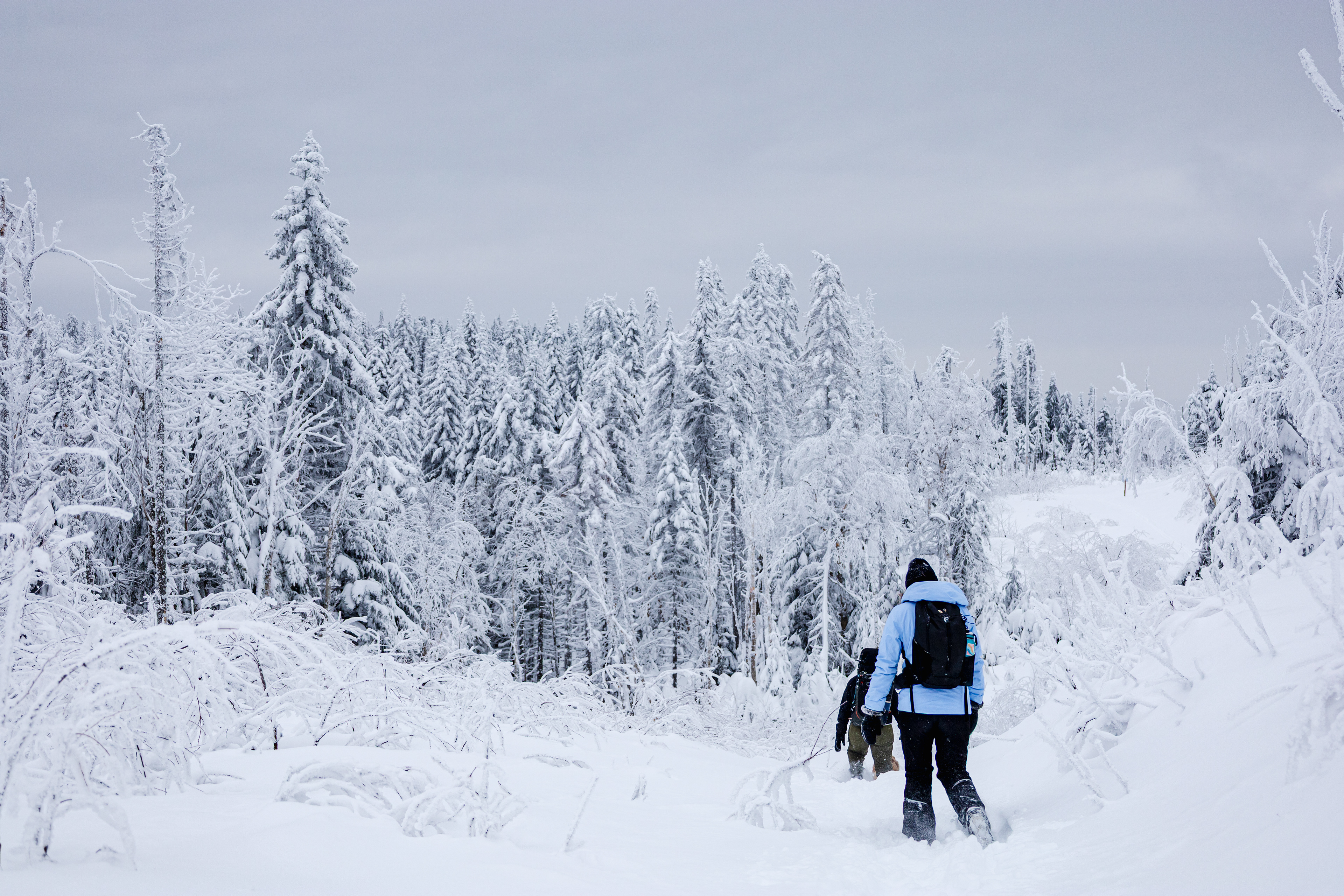 Montagne Noire - Saint-Donat
