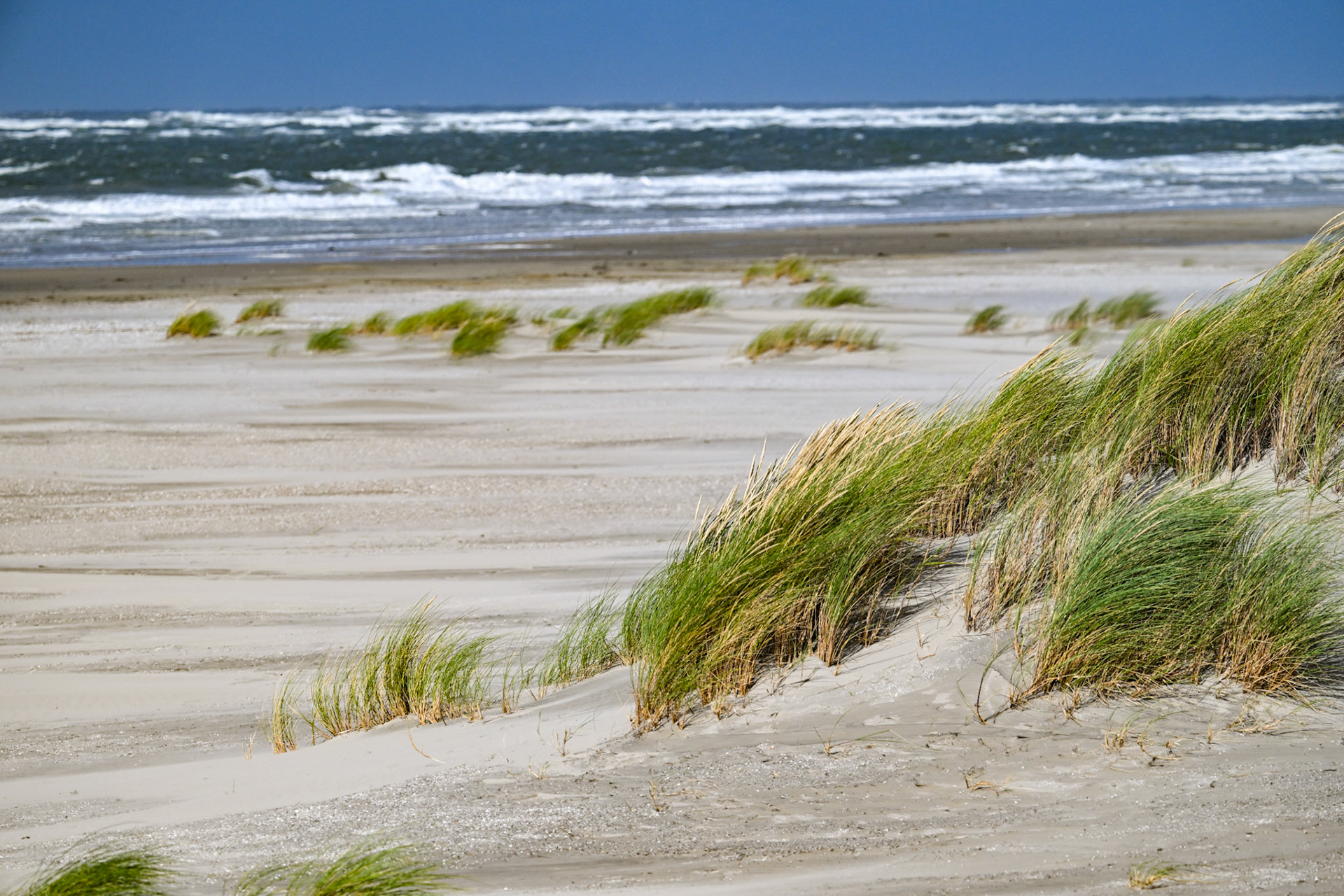 Ameland