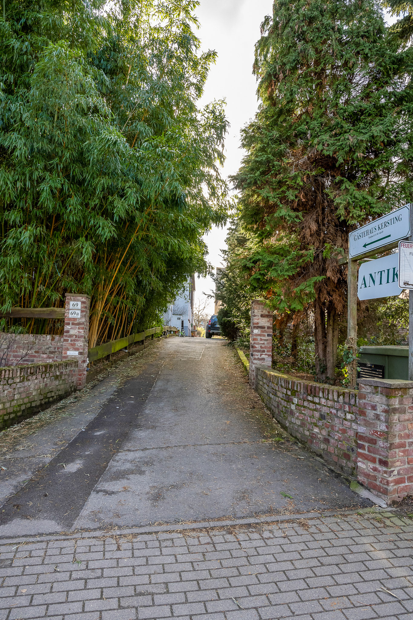 Rhein bei Langs-Kierst