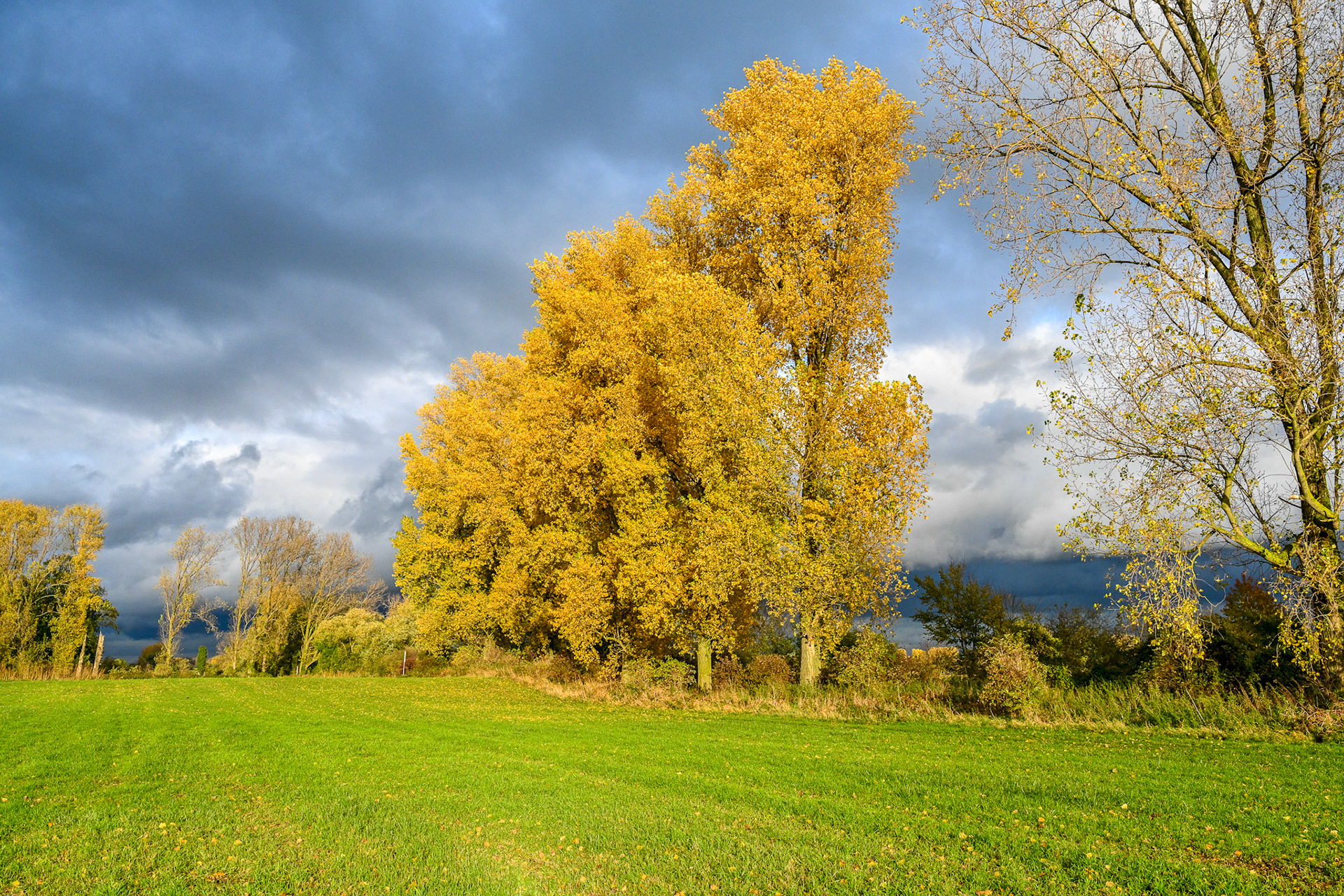 Rhein bei Langs-Kierst