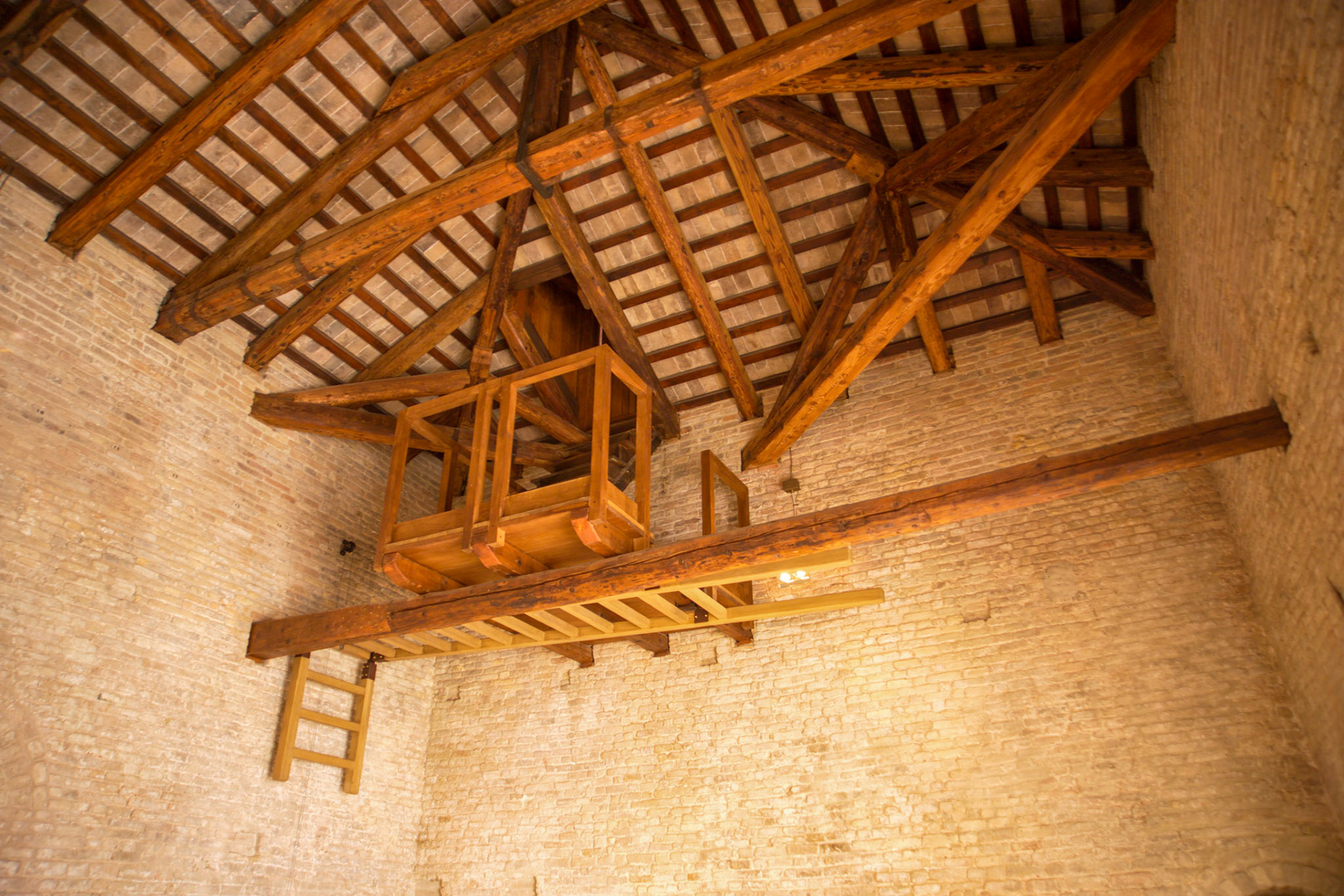 Private Fotos Familie Hoffmann und Freunde