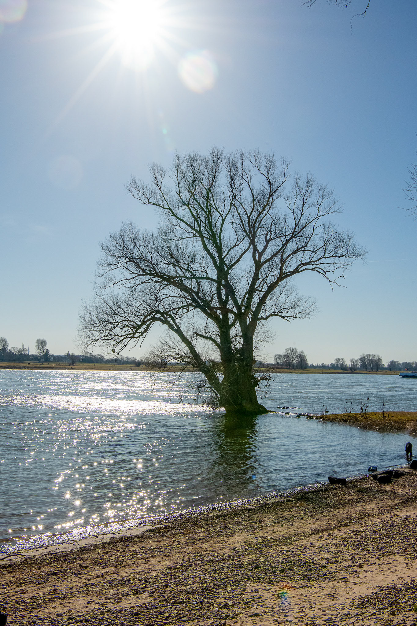 Rhein bei Langs-Kierst