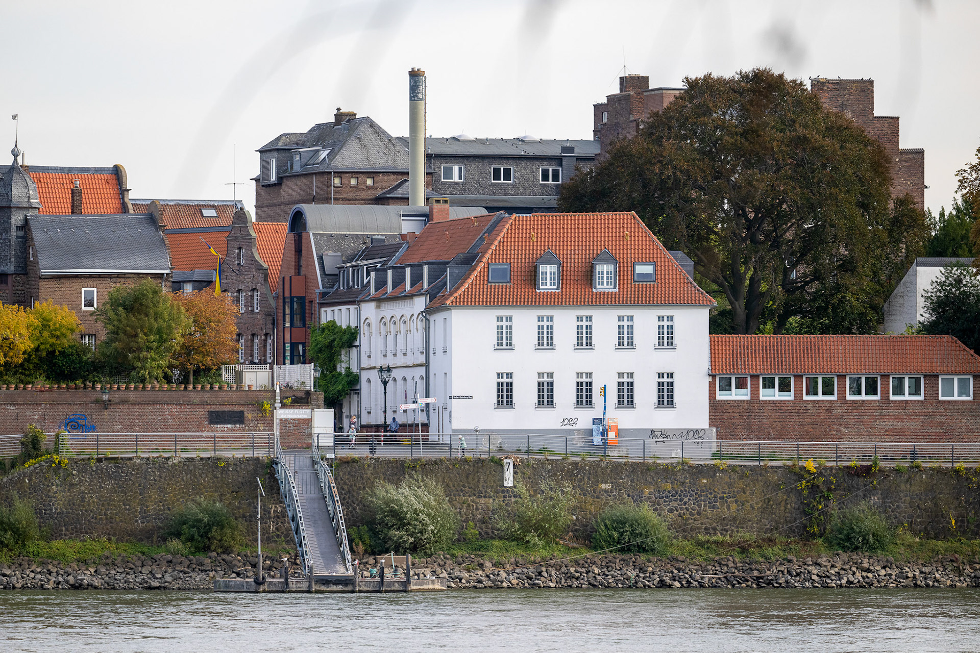 Rhein bei Langs-Kierst