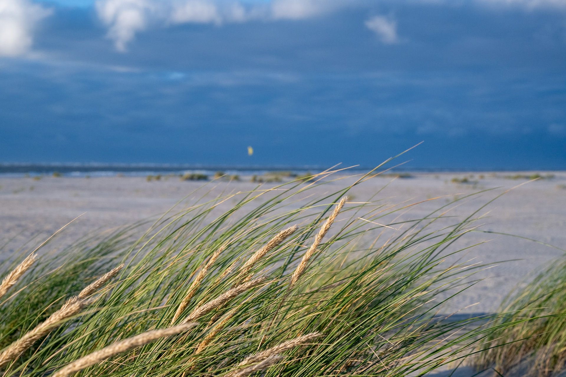 Ameland