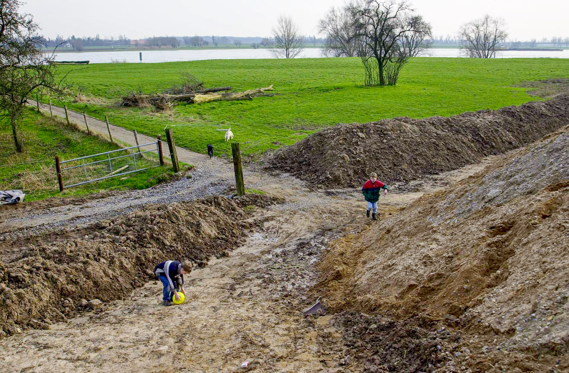 Rhein bei Langs-Kierst