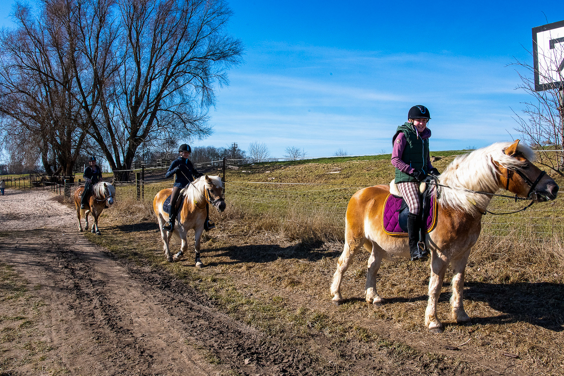 Rhein bei Langs-Kierst