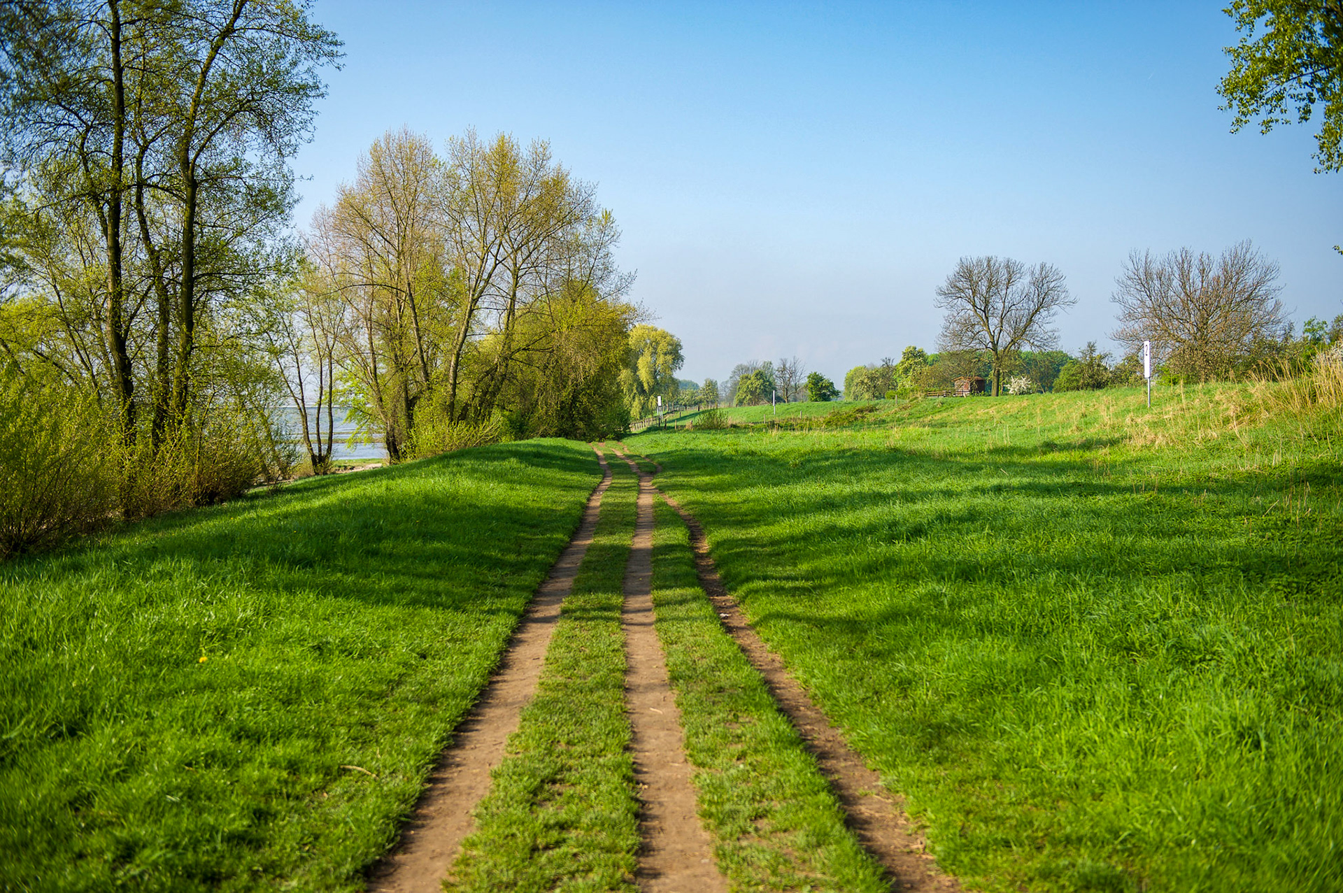 Rhein bei Langs-Kierst