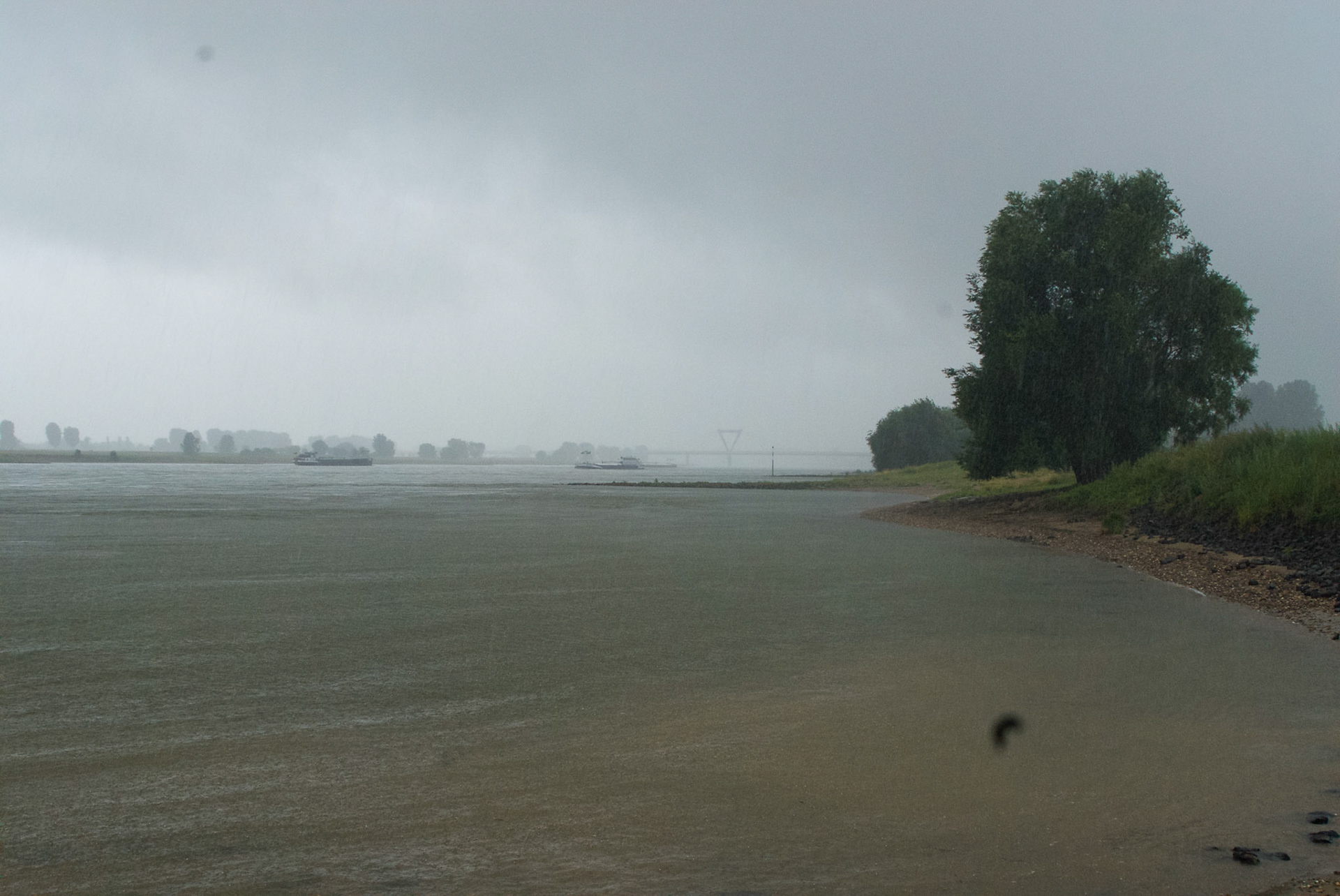 Rhein bei Langs-Kierst