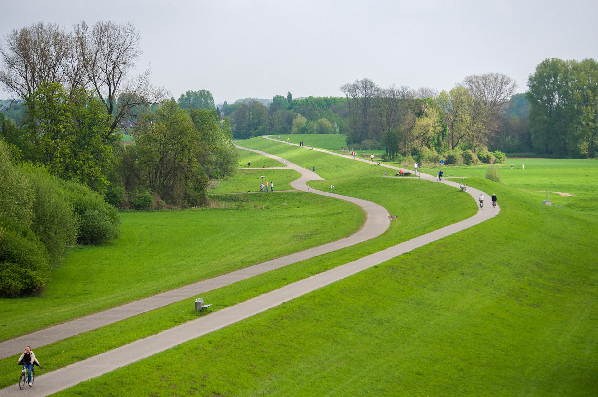 Rhein bei Langs-Kierst