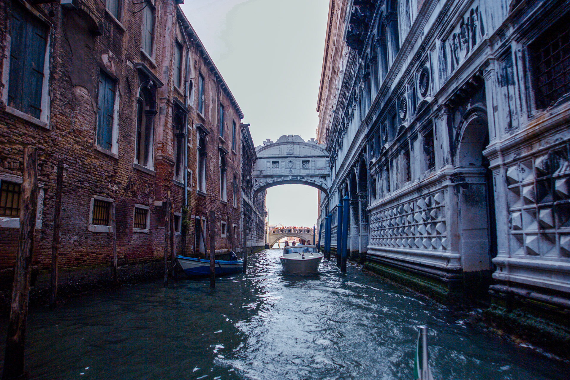 Private Fotos Familie Hoffmann und Freunde