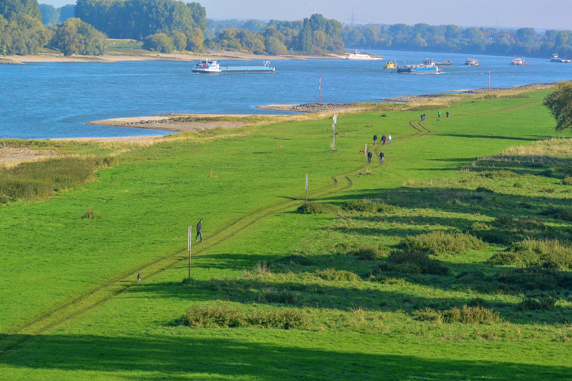 Rhein bei Langs-Kierst