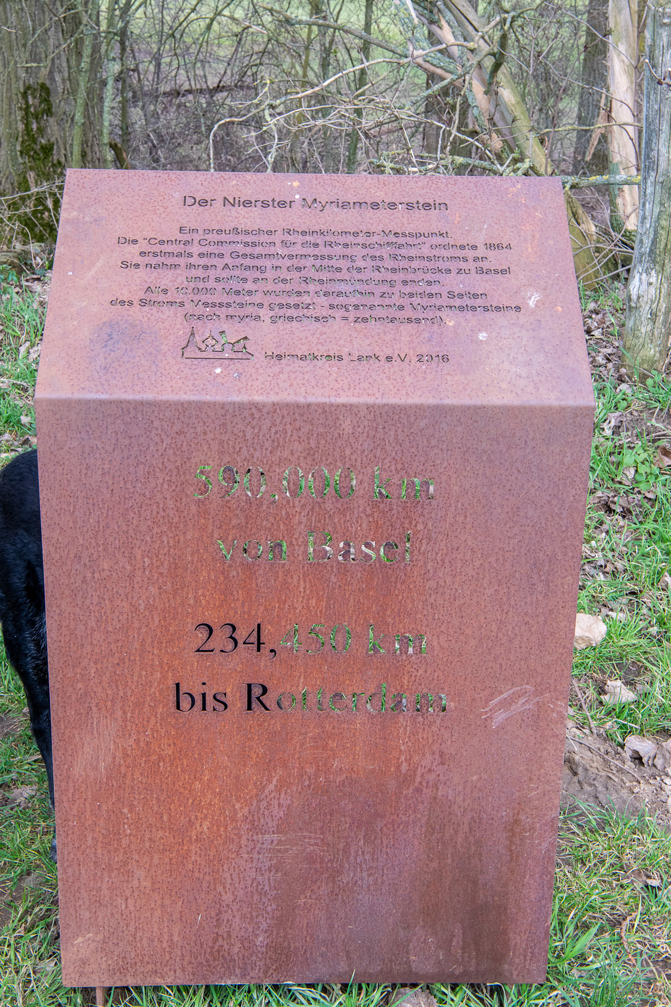 Rhein bei Langs-Kierst