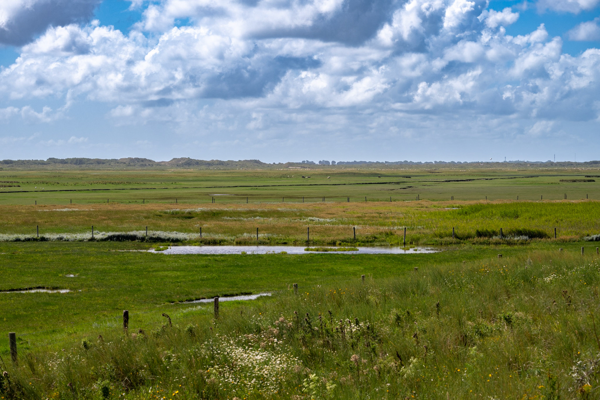 Ameland