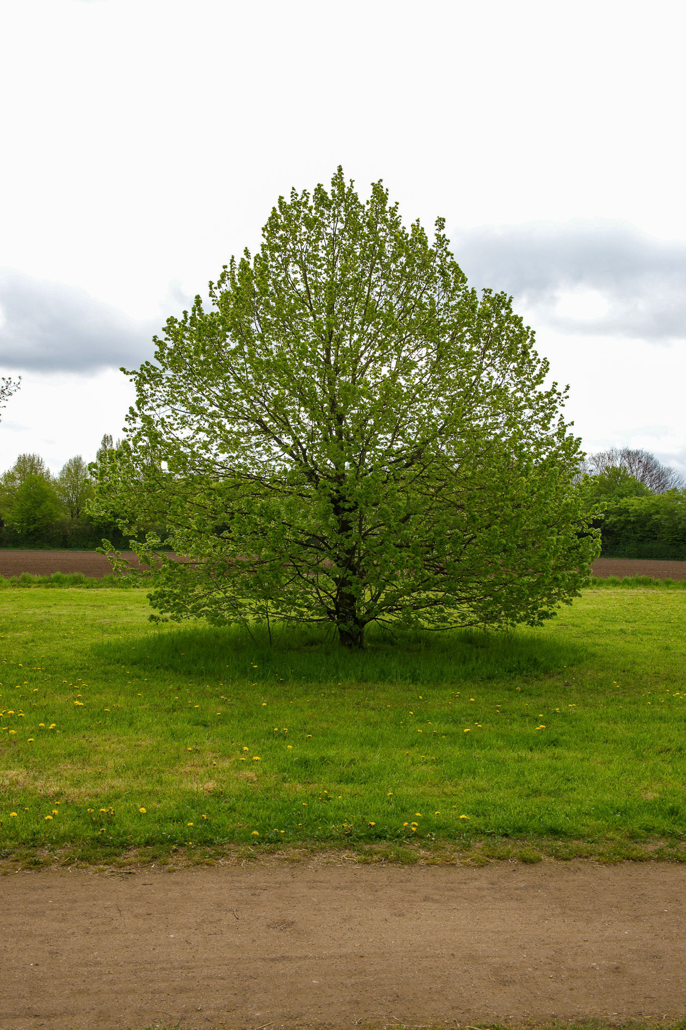 Meerbusch-Osterath