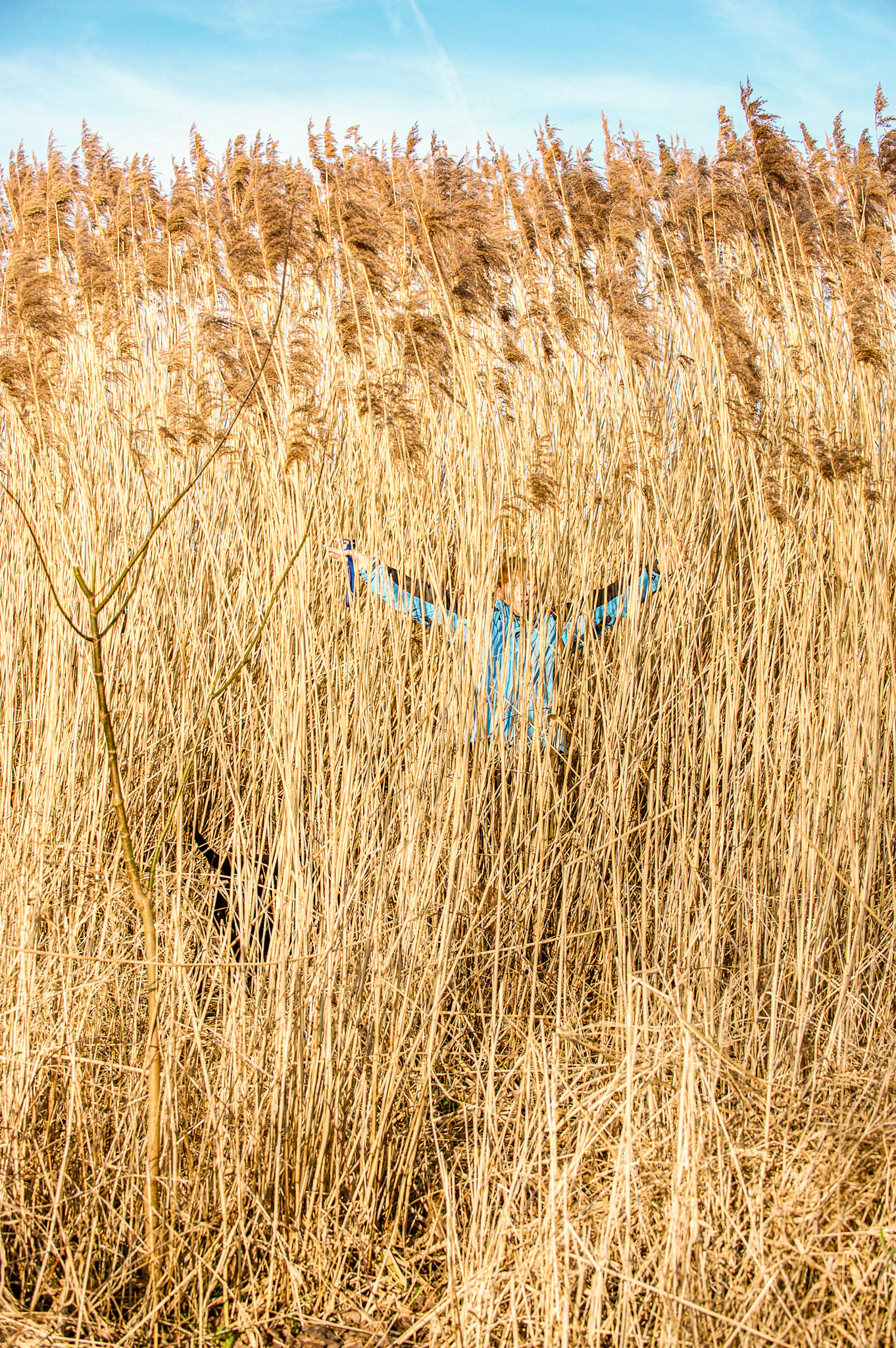 Rhein bei Langs-Kierst