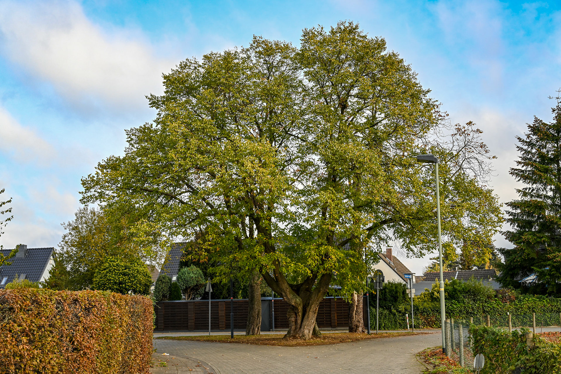 Meerbusch-Osterath