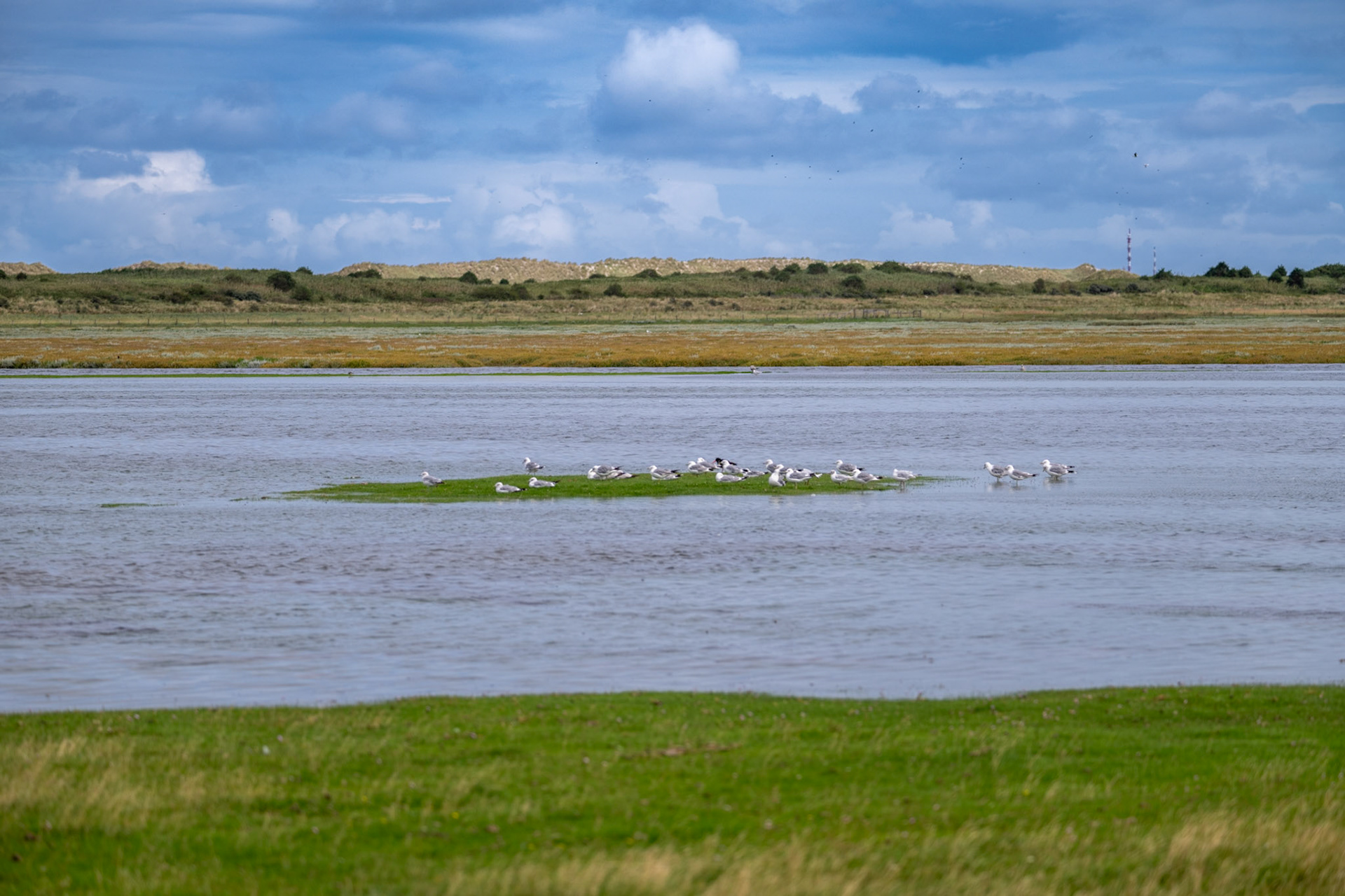 Ameland
