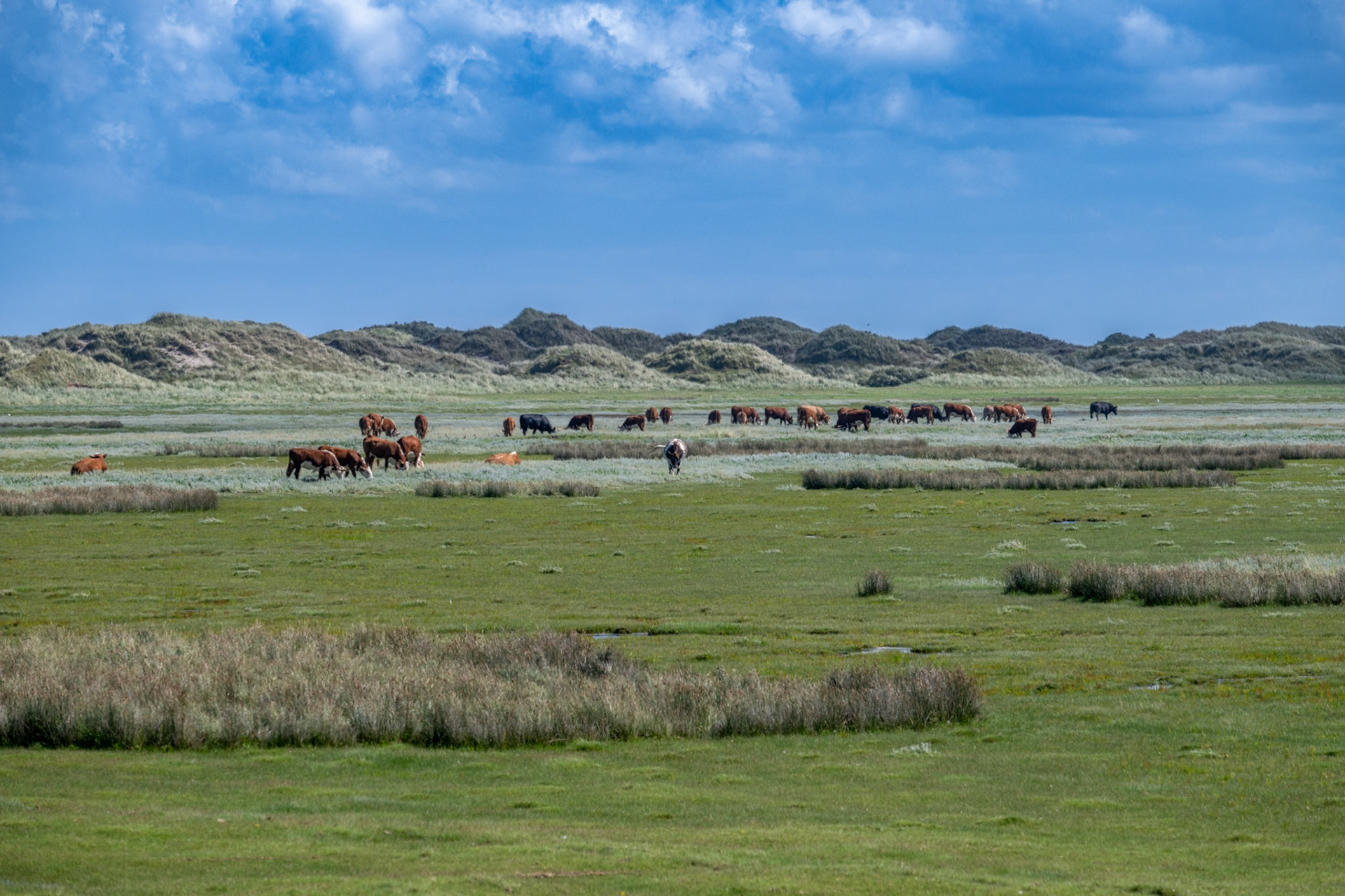 Ameland