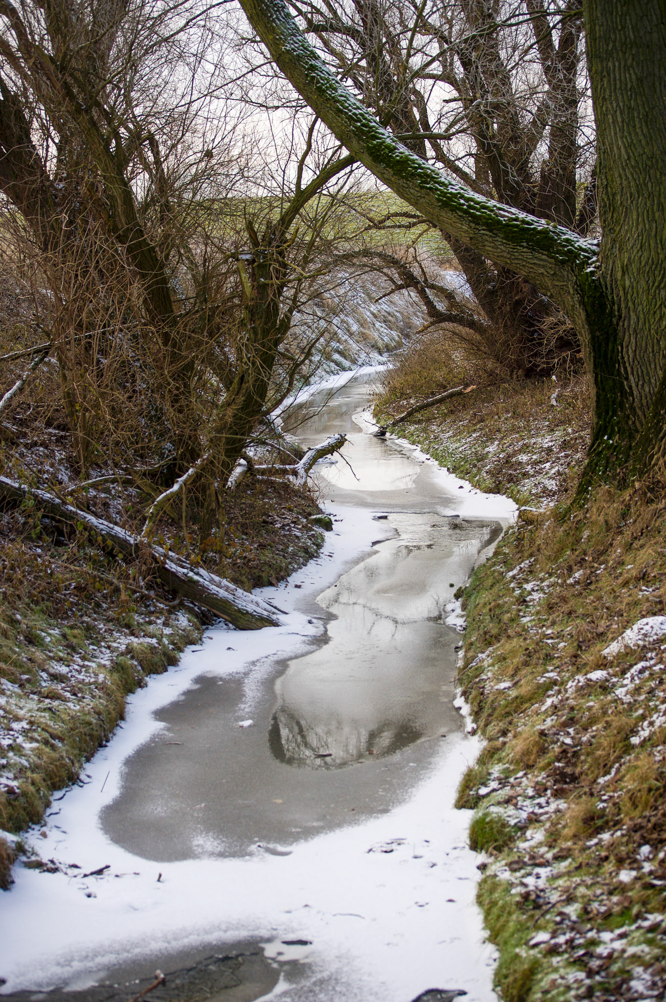 Rhein bei Langs-Kierst