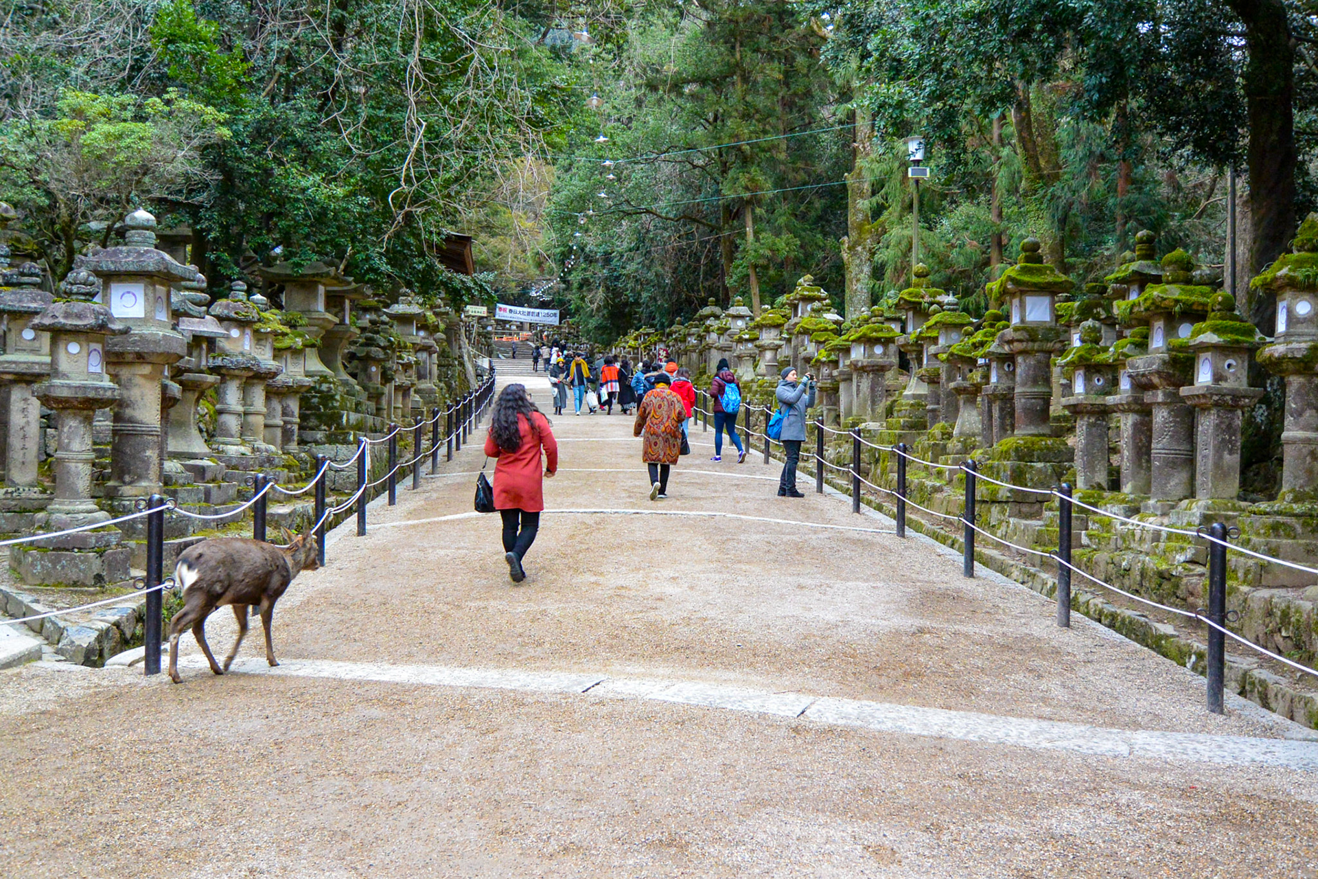 Japan