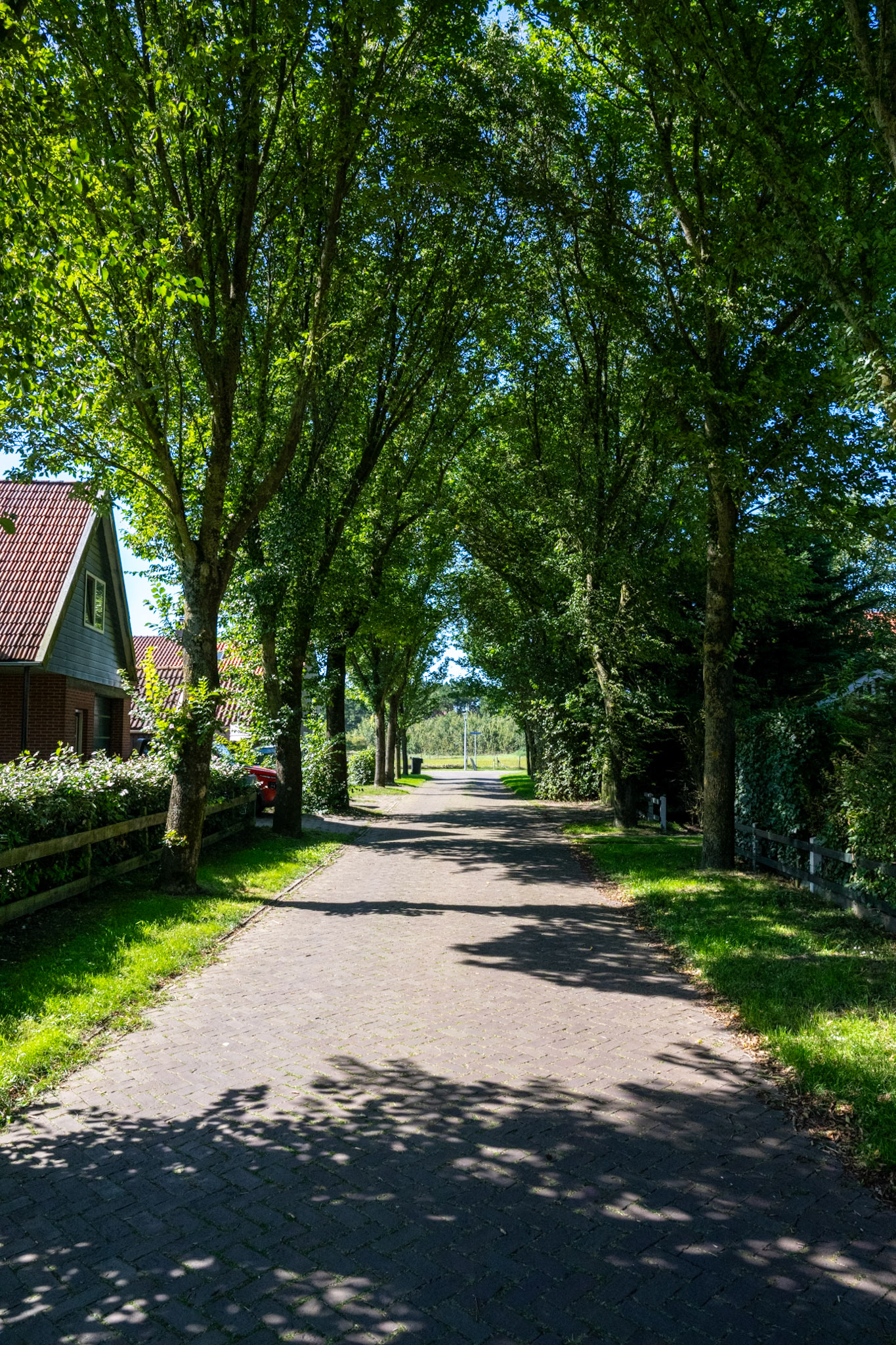 Ameland