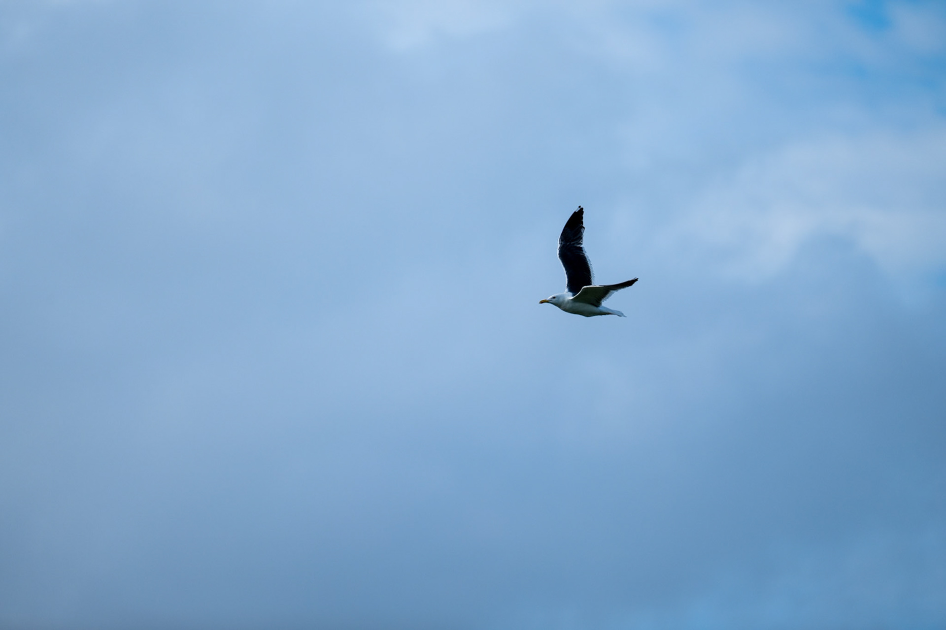 Ameland