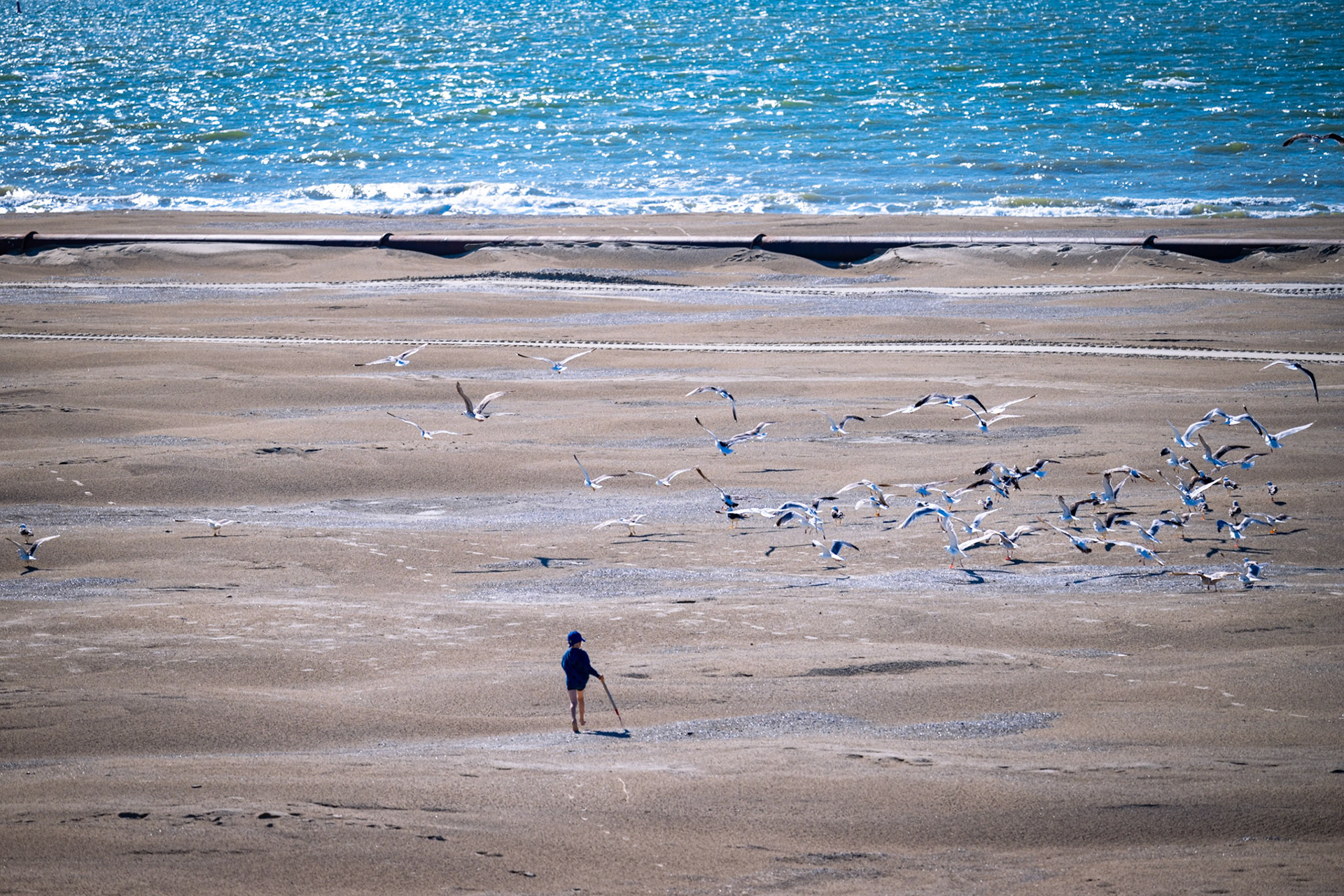 Ameland