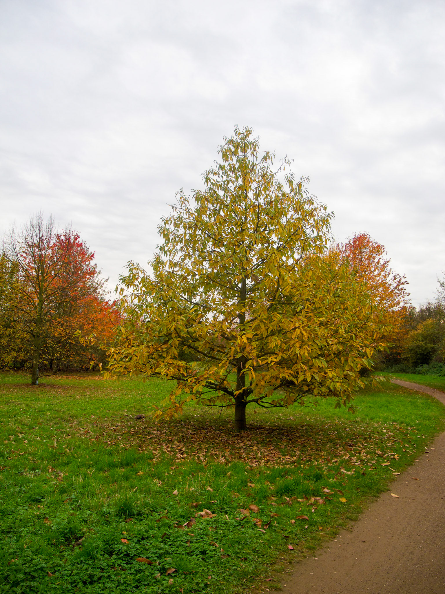 Meerbusch-Osterath