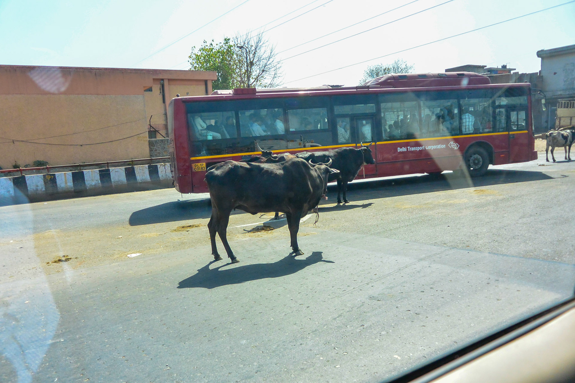 Indien