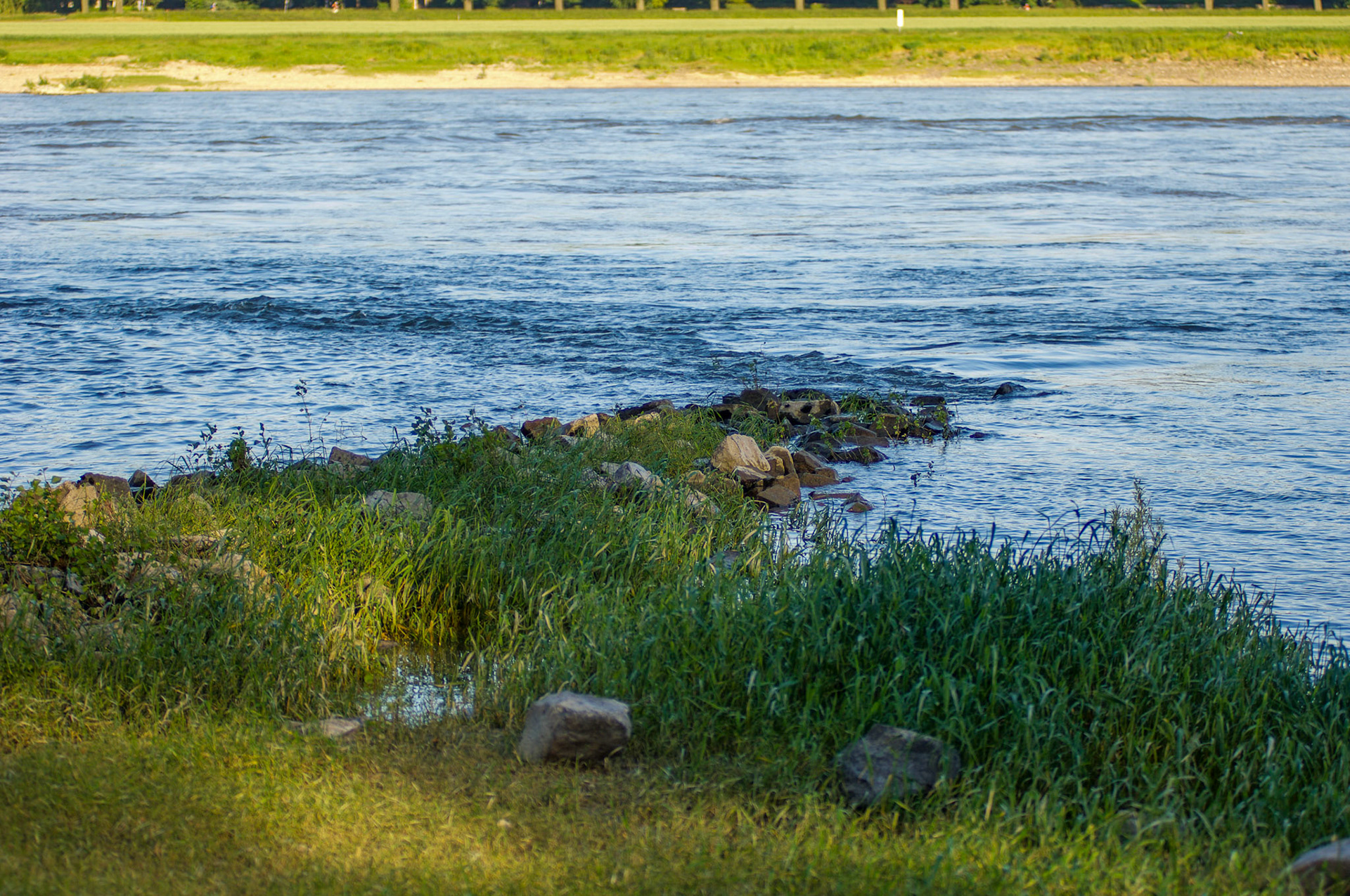 Rhein bei Langs-Kierst