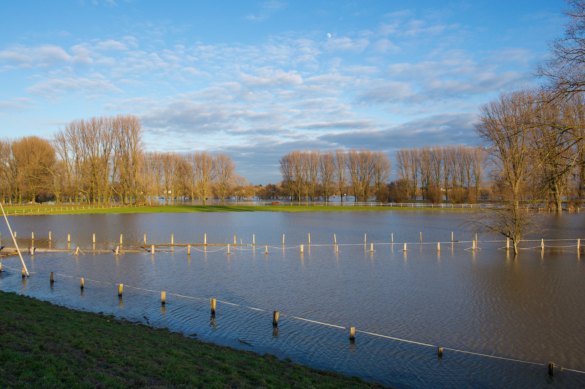 Rhein bei Langs-Kierst