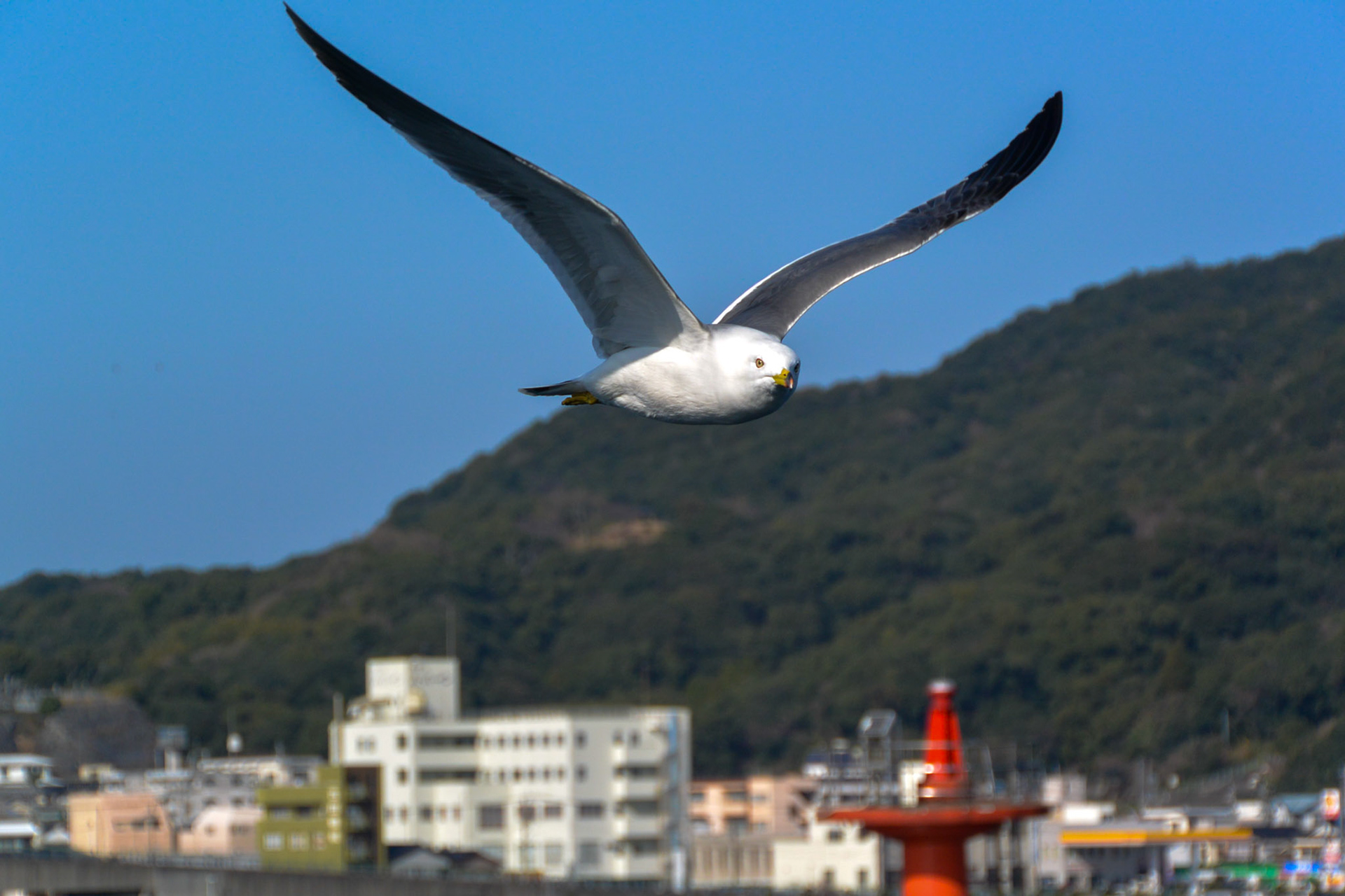 Japan
