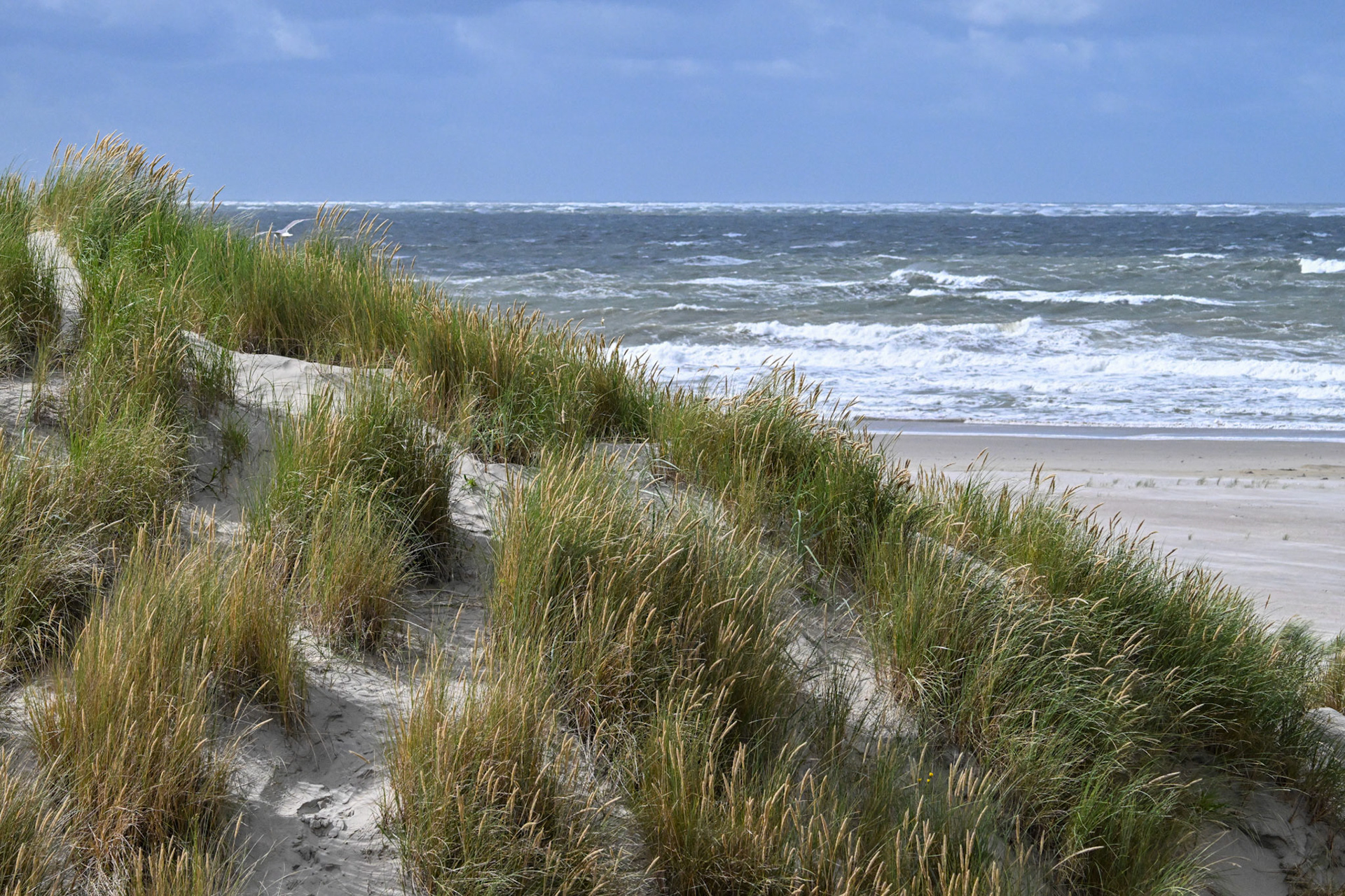 Ameland