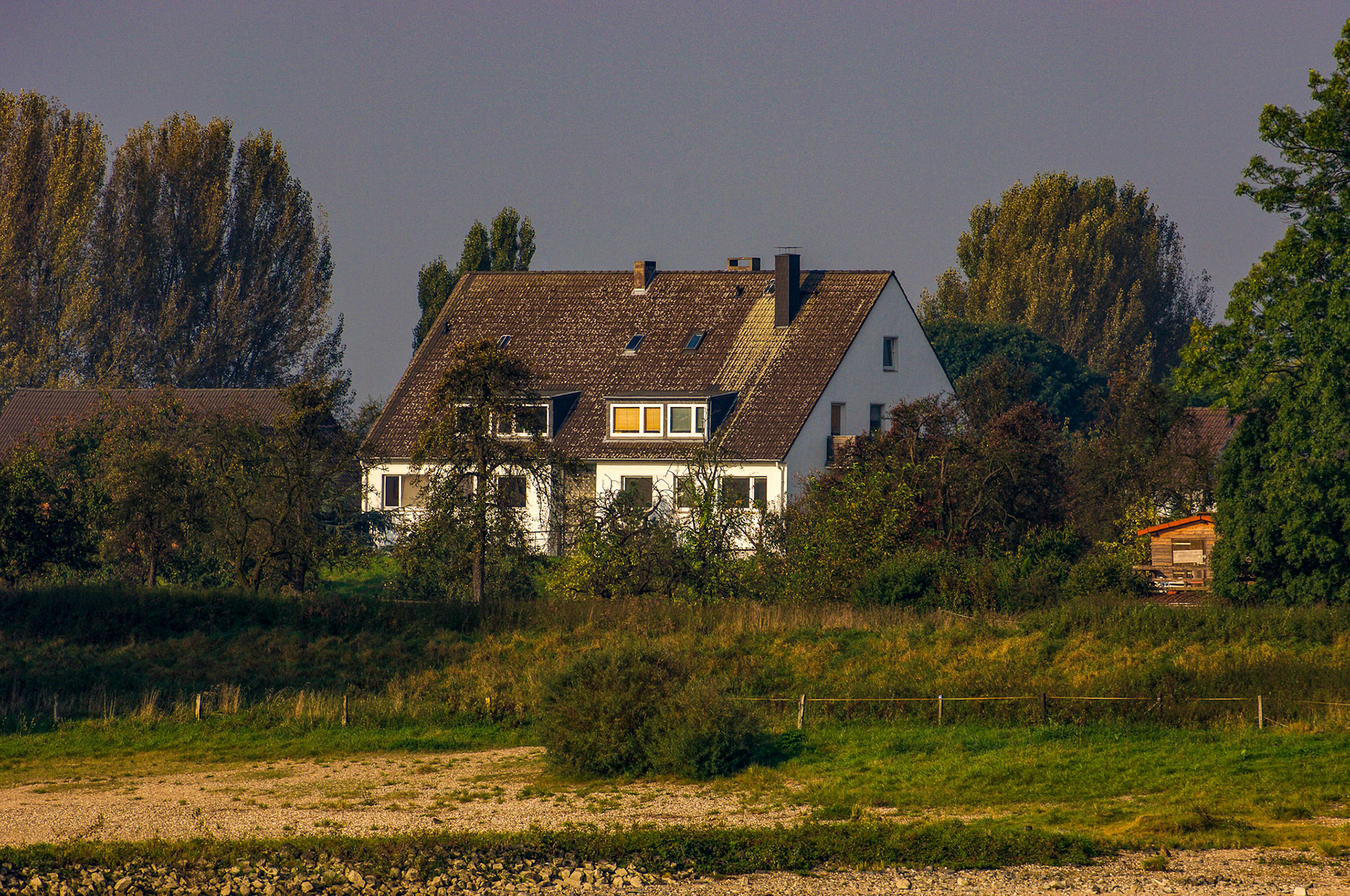 Rhein bei Langs-Kierst