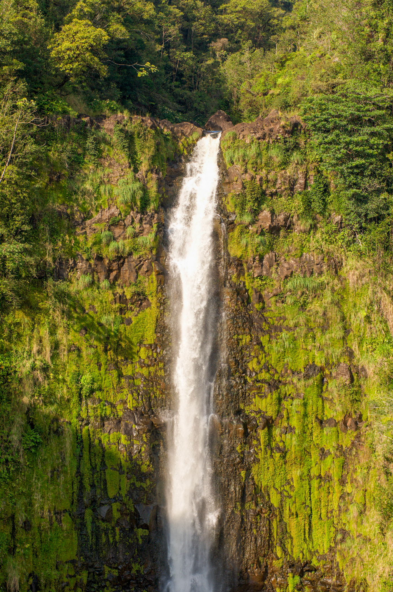 Hawaii