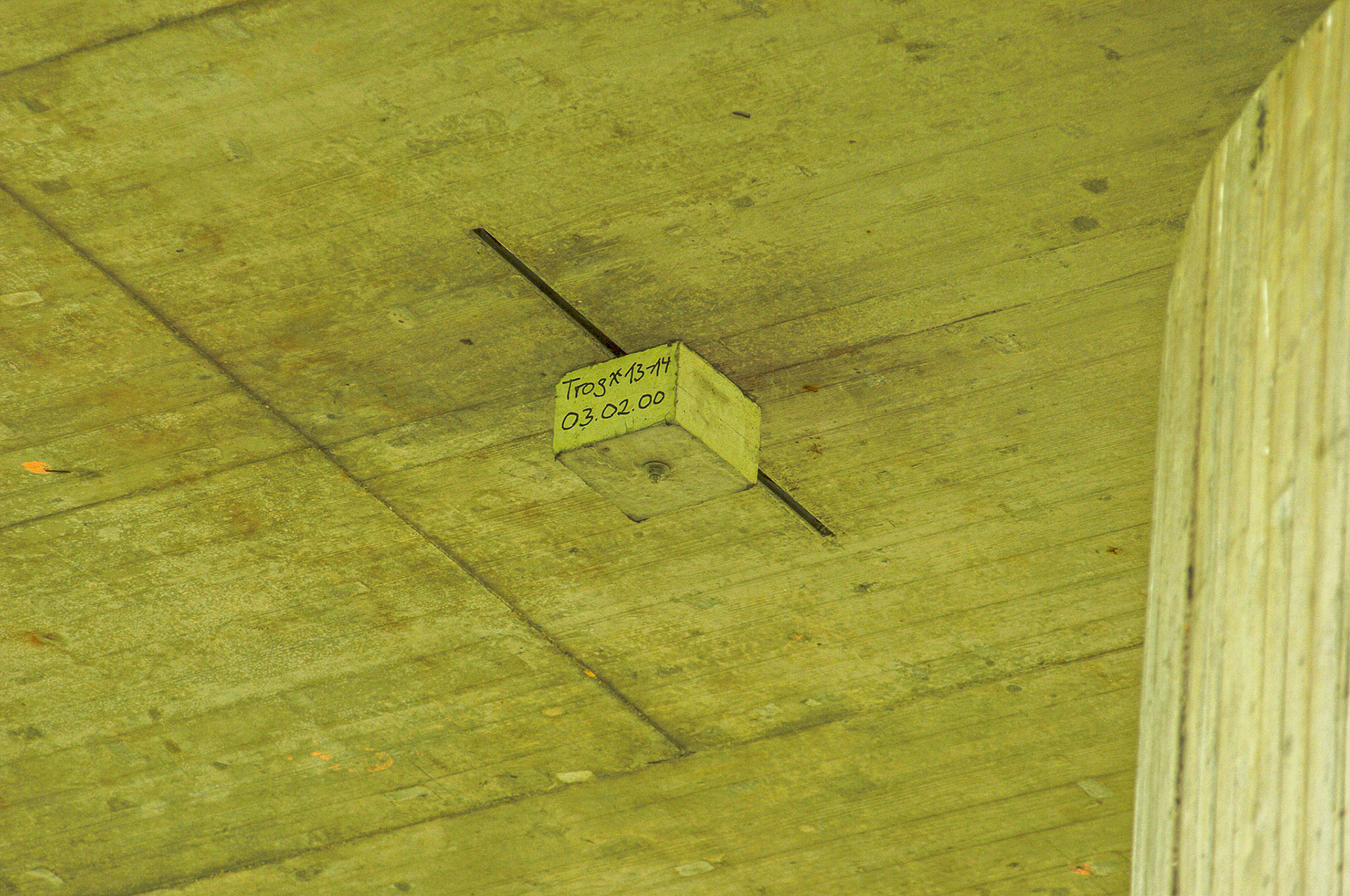 Private Fotos Familie Hoffmann und Freunde